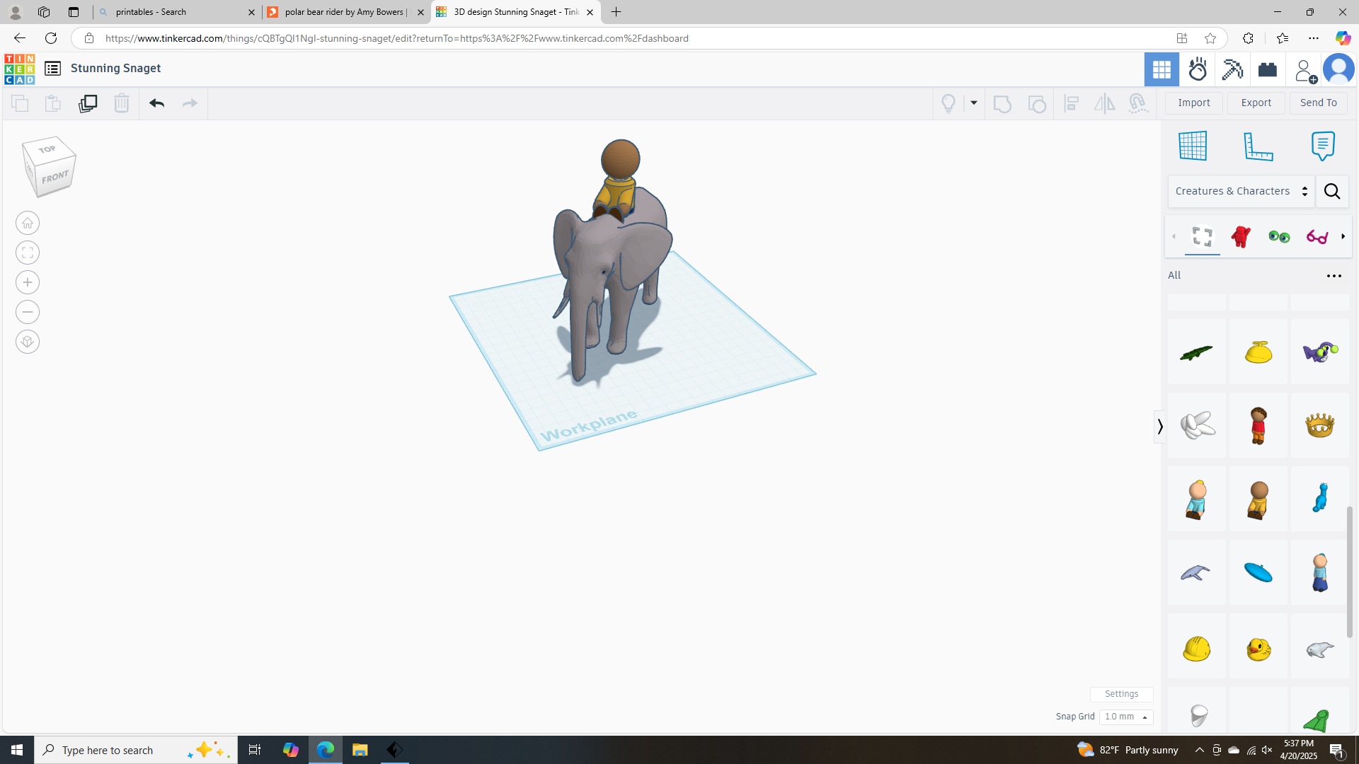 elephant rider