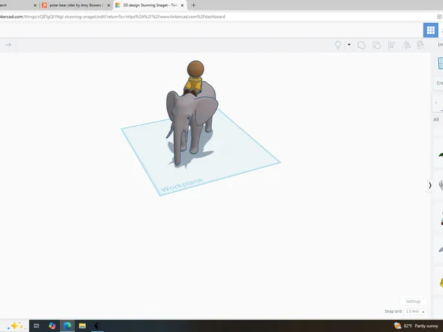 elephant rider