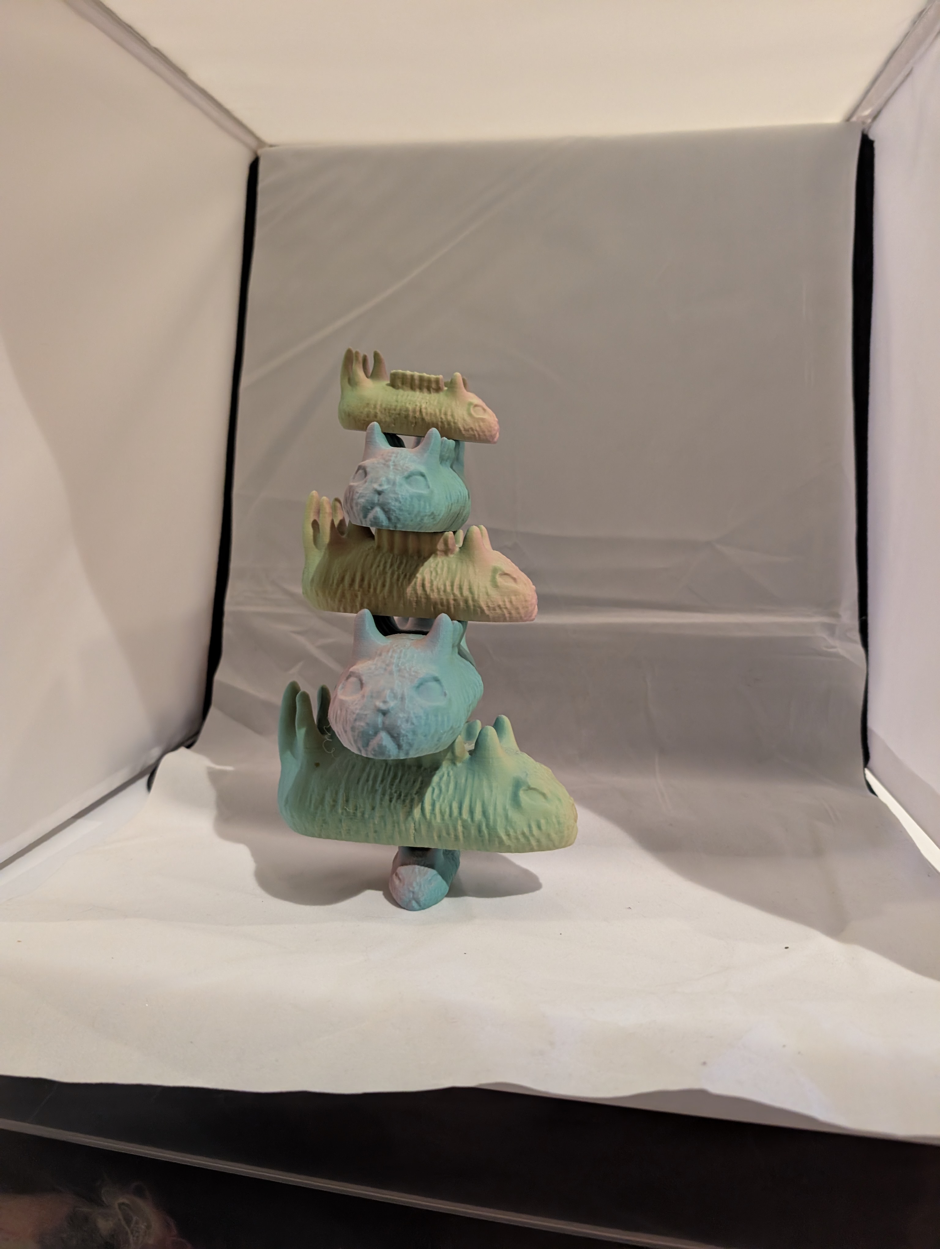 Stacking sea bunnies