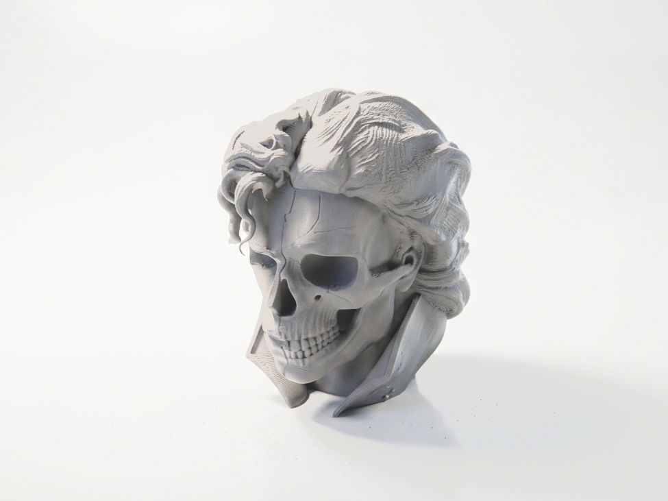 Half Skull Face Sculpture Gothic Art 3D Printable