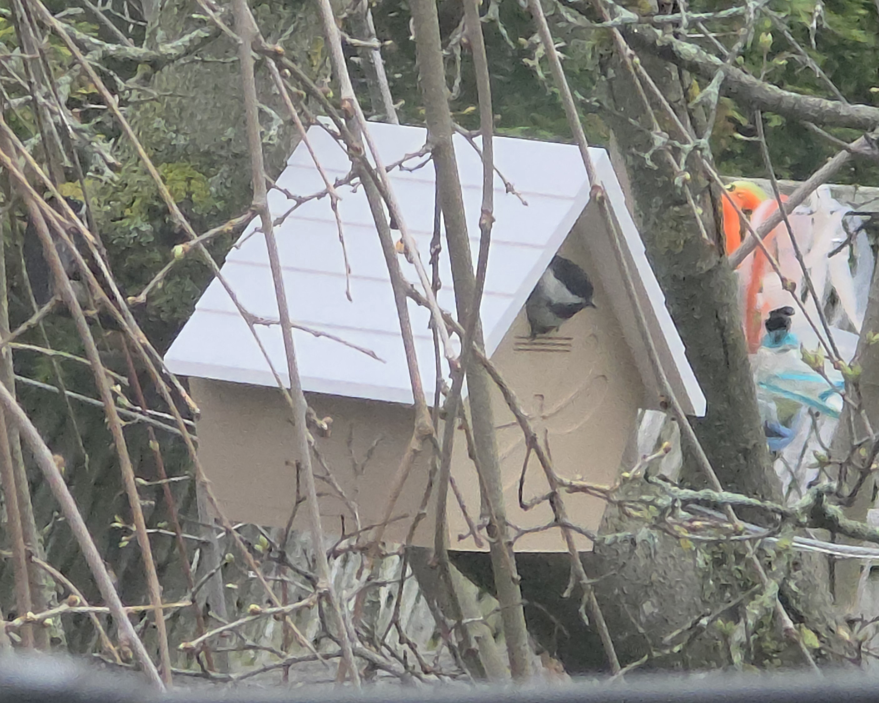 Modified Birdhouse v3.1 — miniatura 2