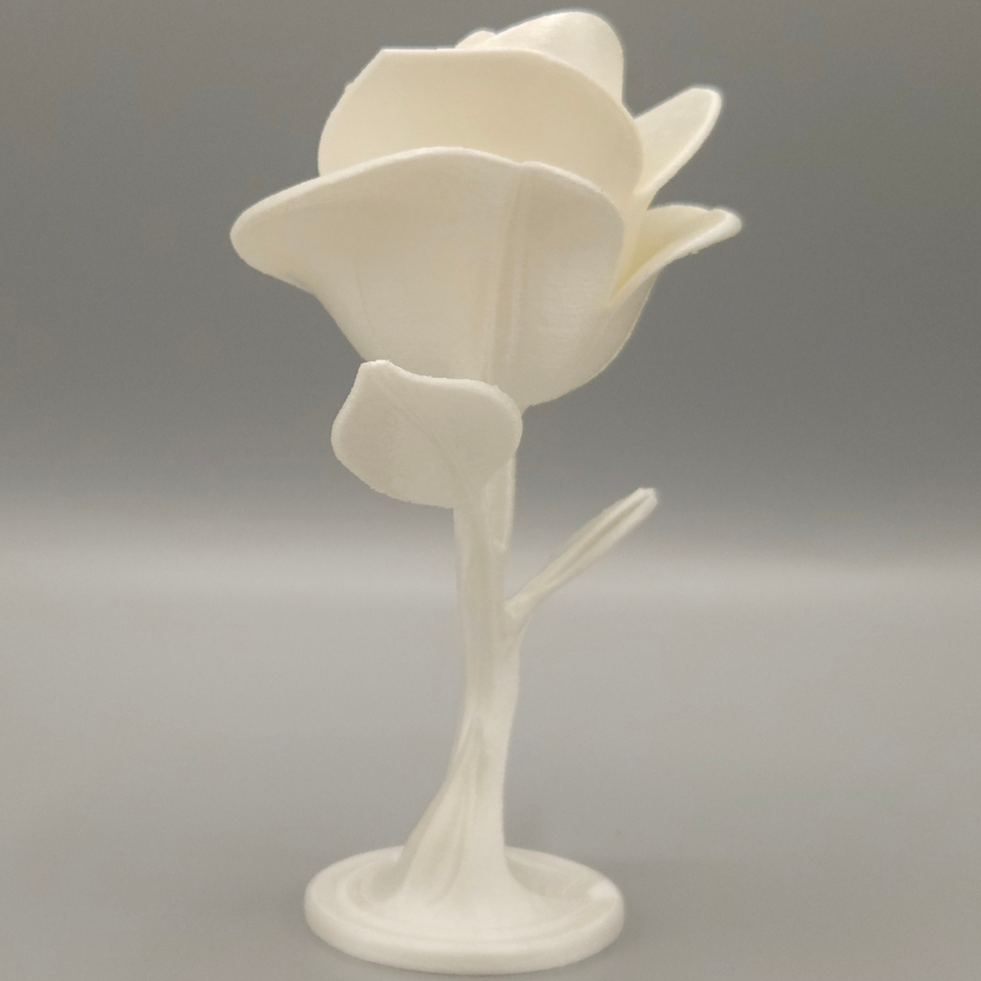 Miniatura 4 do modelo 3D Eternal Rose