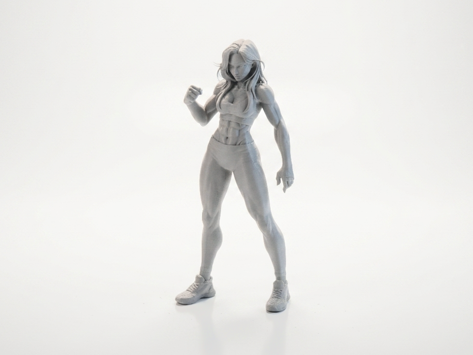 Lady Fist Female Fighter Figurine 3D Printable