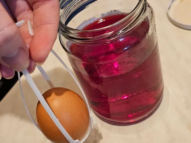 Hot Dye Egg Dipper (Quail Updated)