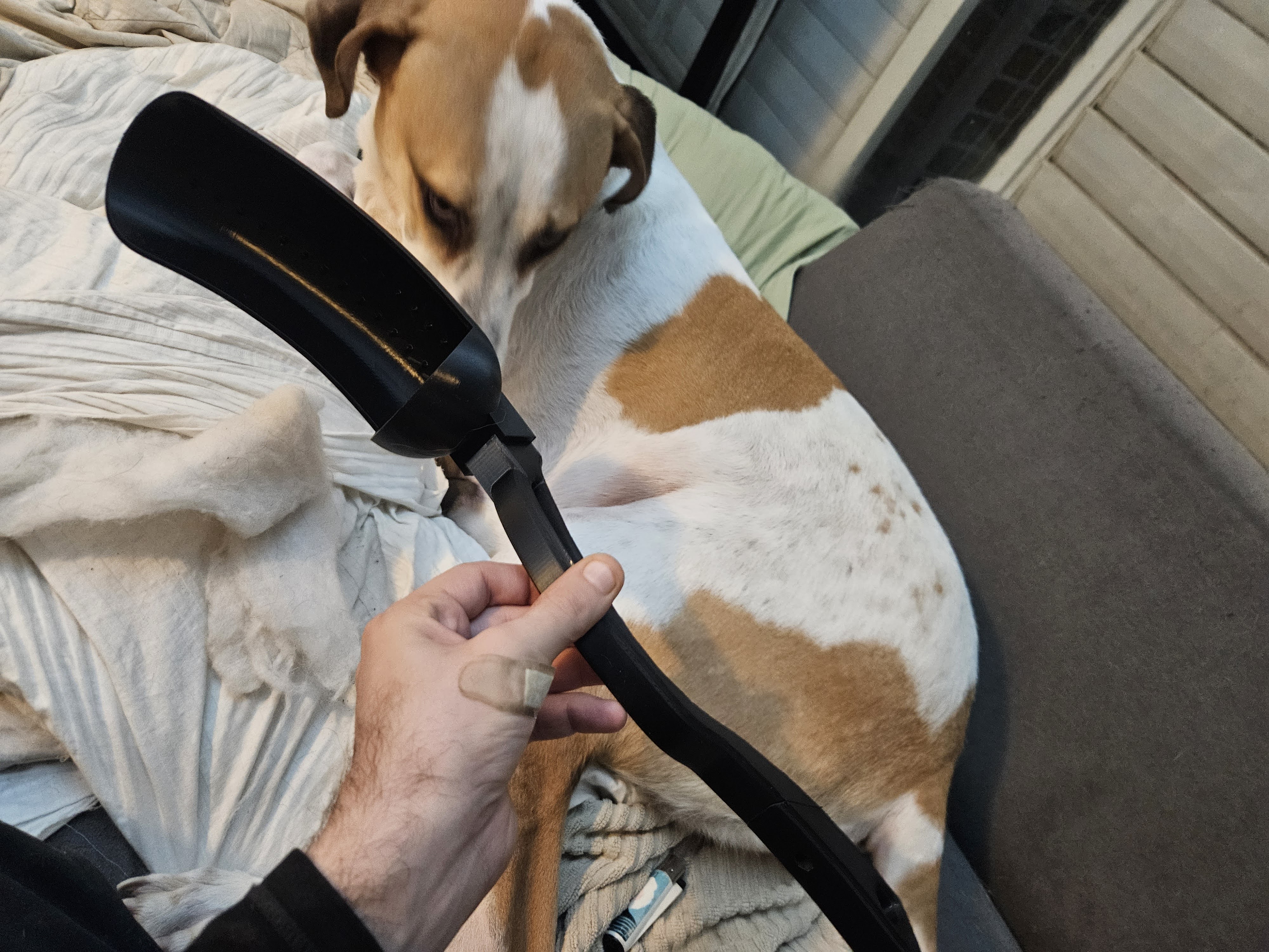 Huge Dog Chuck Ball With M3 Screws 3D model