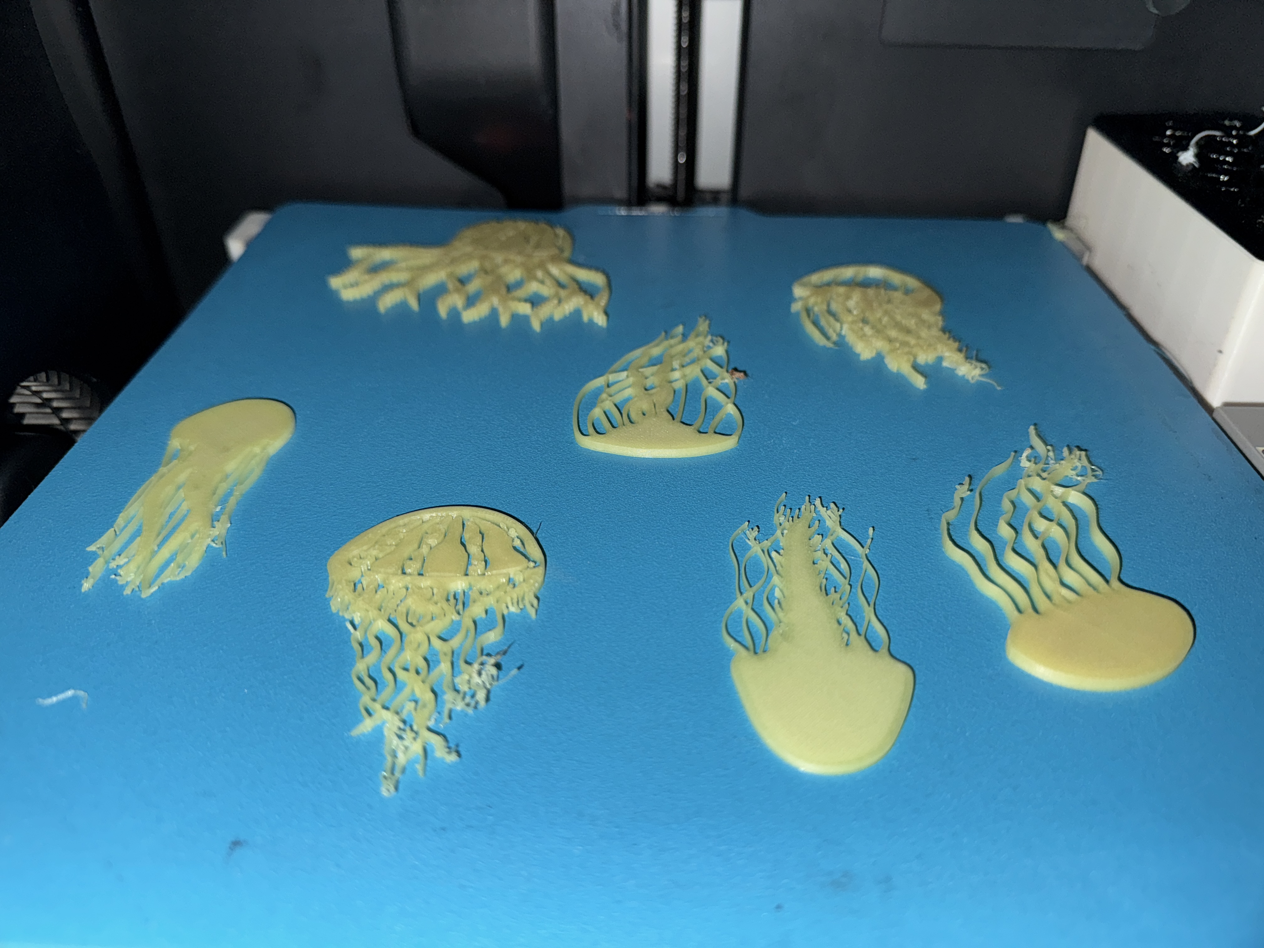 Glow in Dark Jelly fish