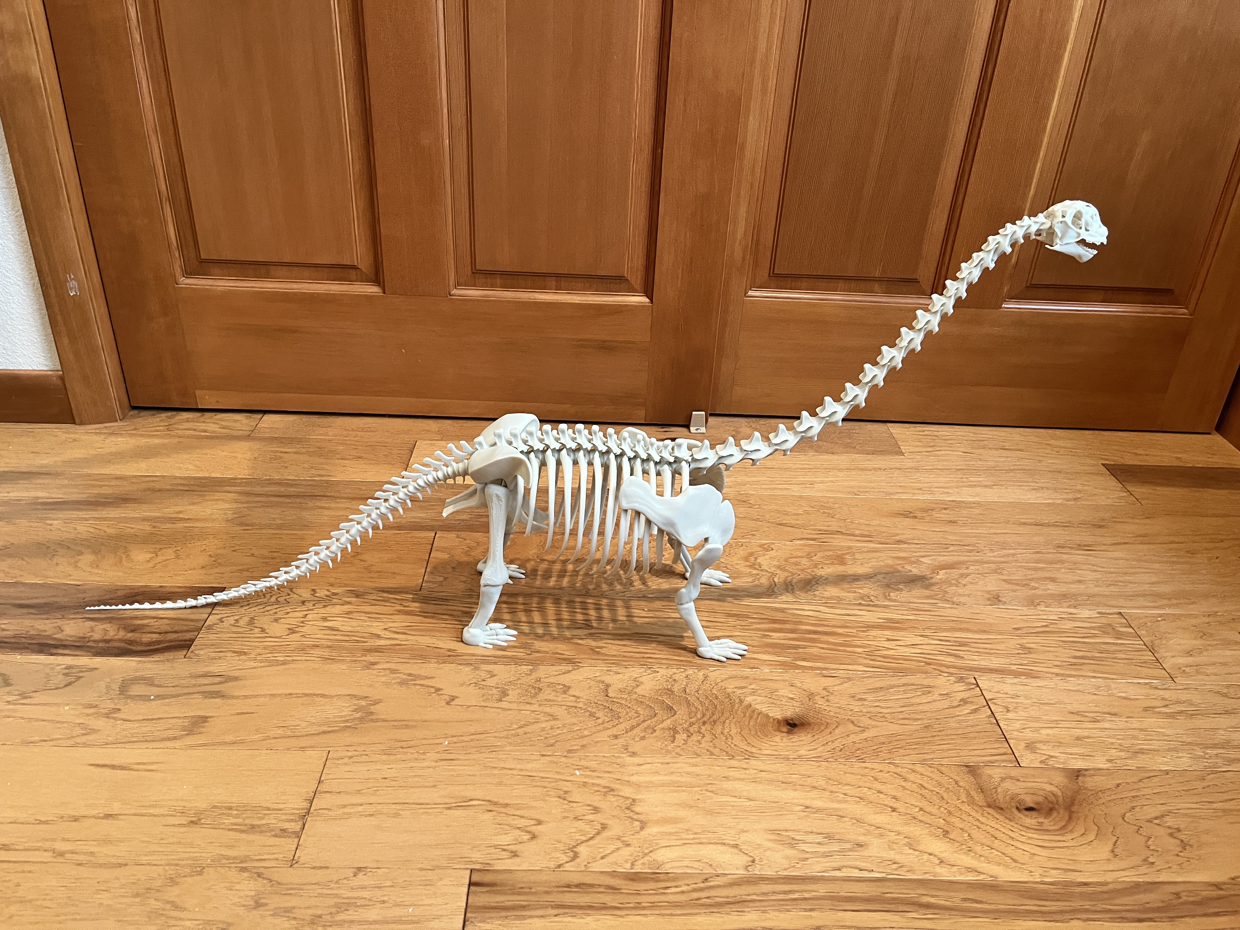 Apatosaurus dinosaur with tight fitting connectors.