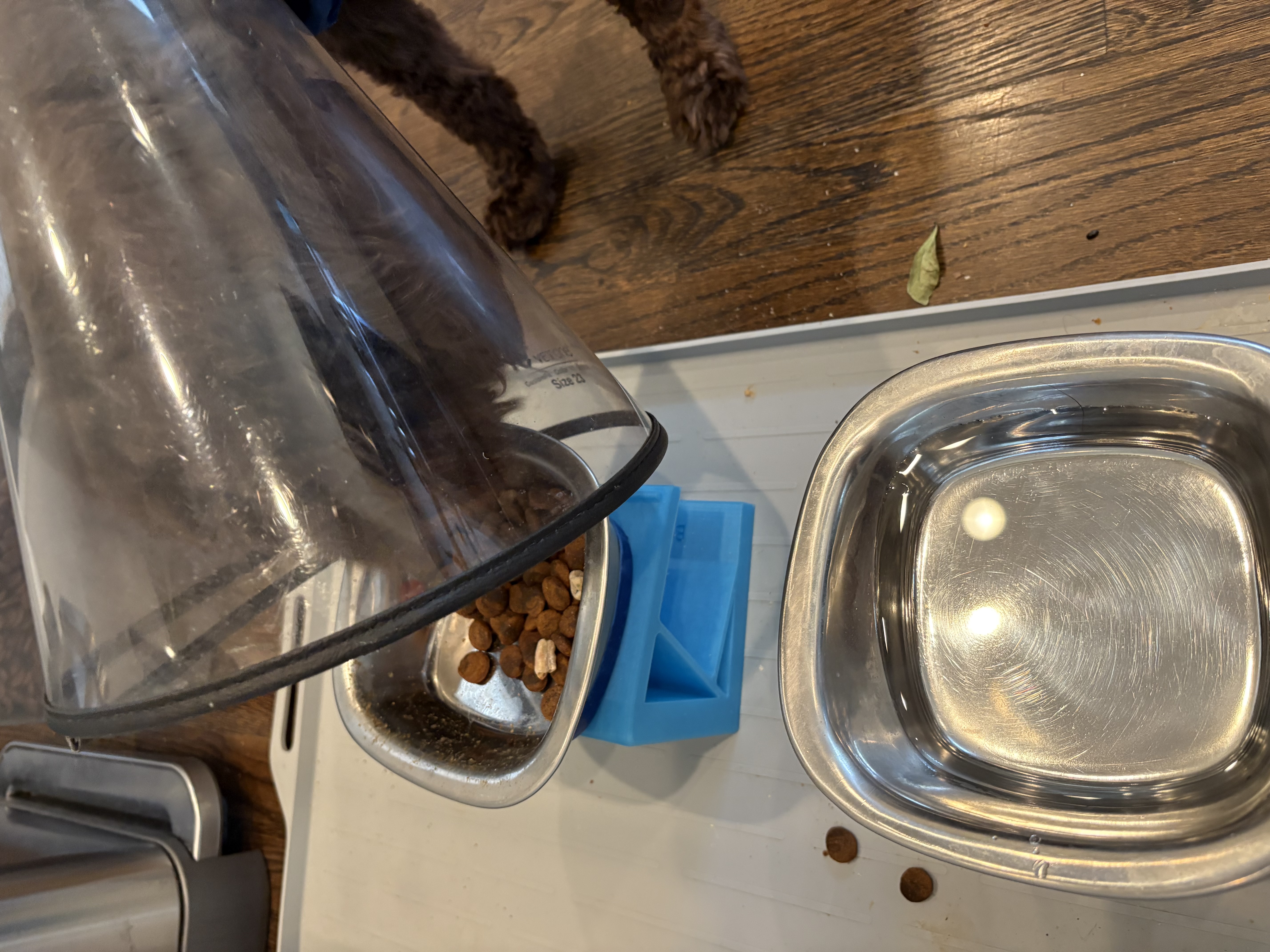 Food Stand for Dog with Cone Collar