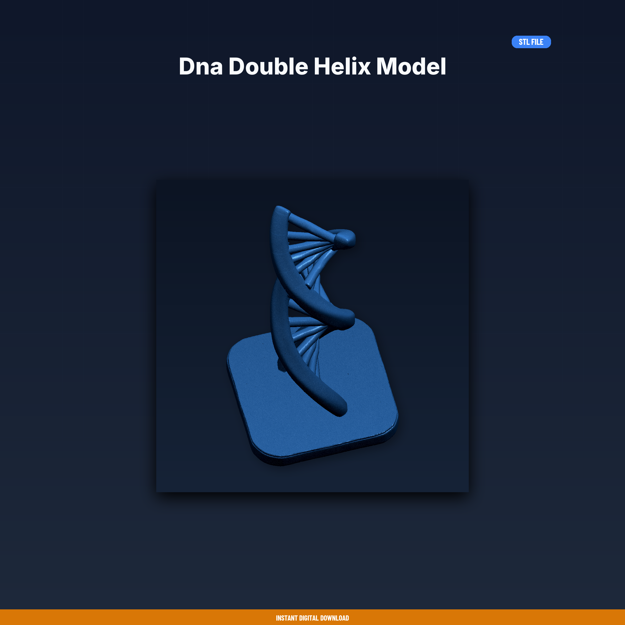 Dna Double Helix Model - 3D Printable STL File