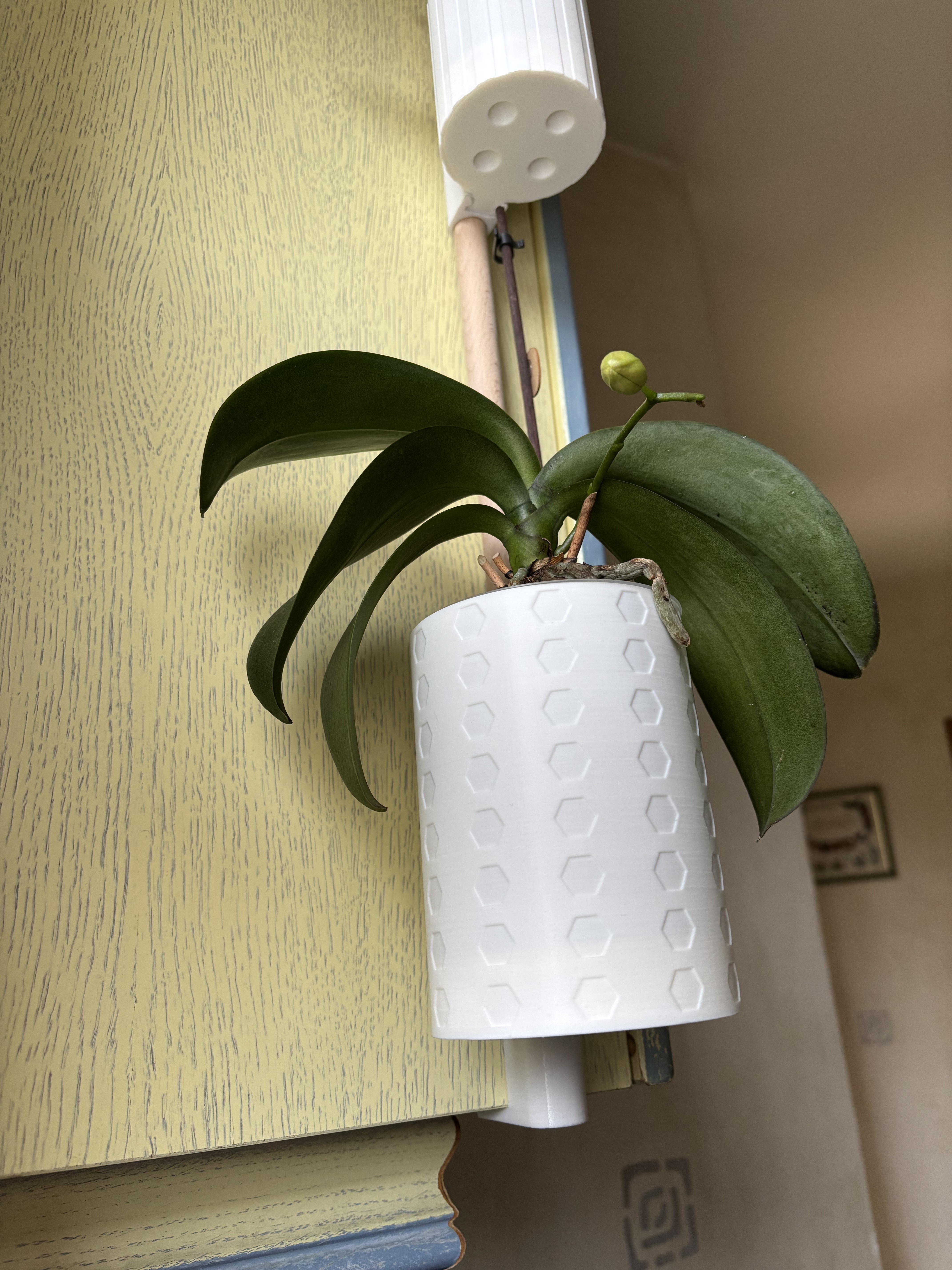 Weekend Project – Parametric Flower Pot — miniatura 2