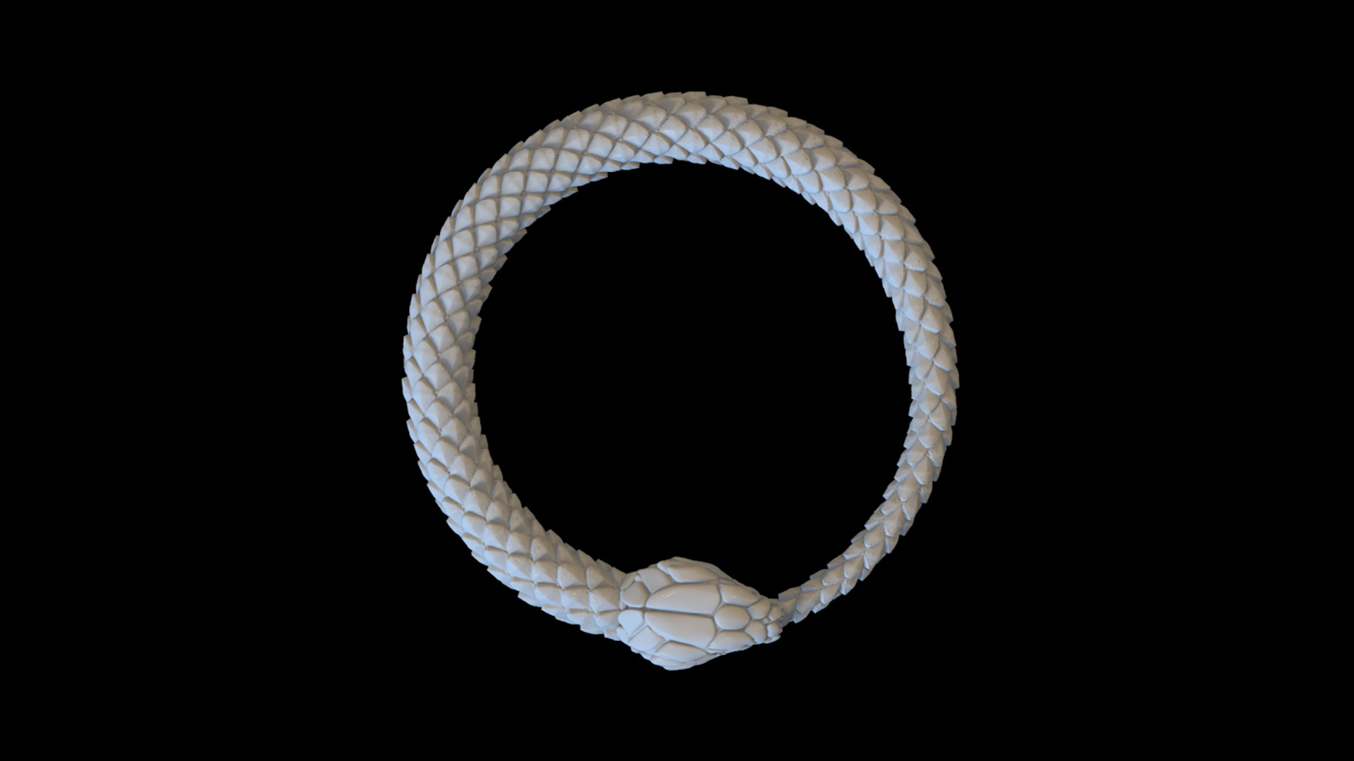 snake — miniatura 6
