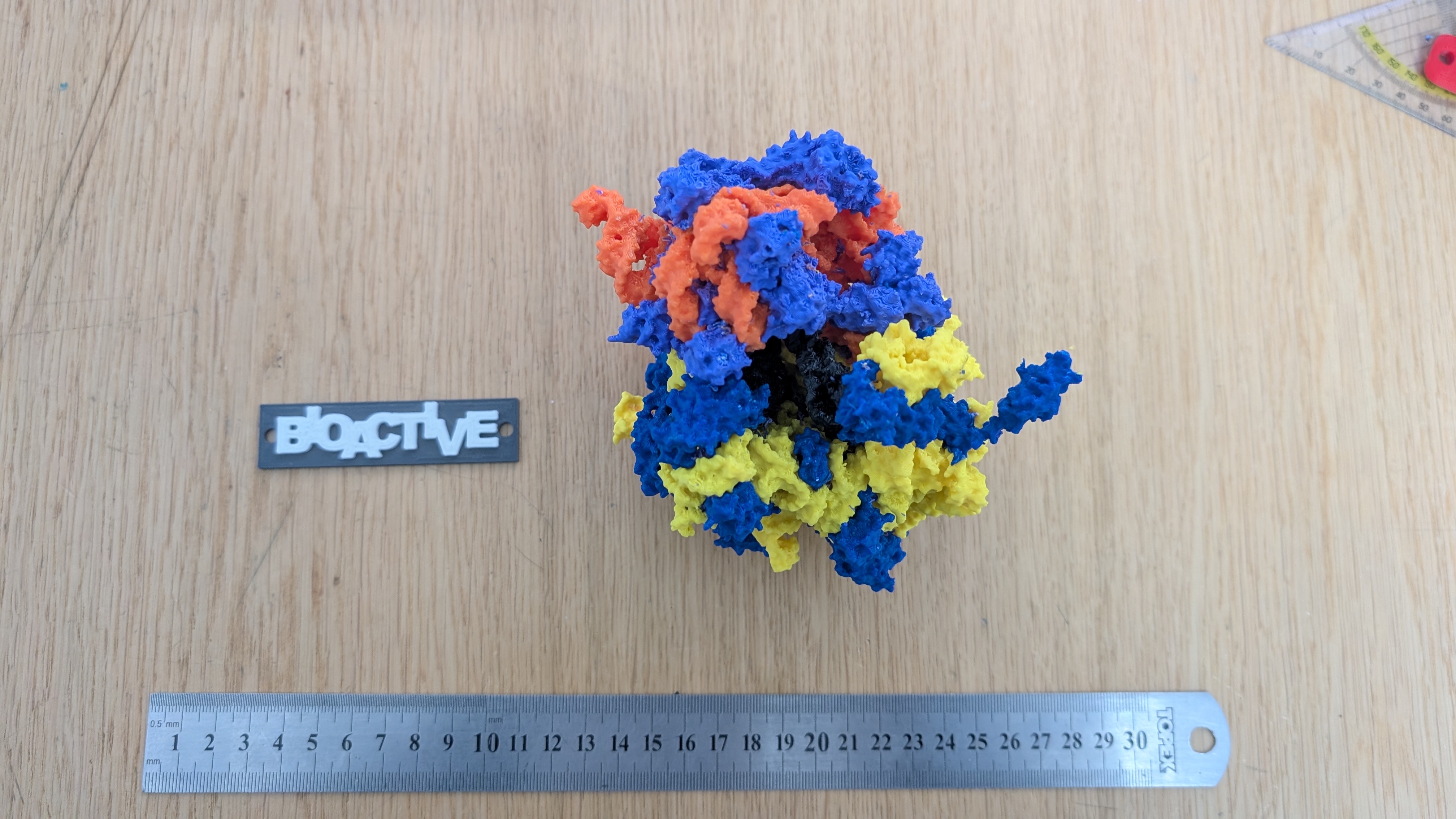Bacterial 70S ribosome