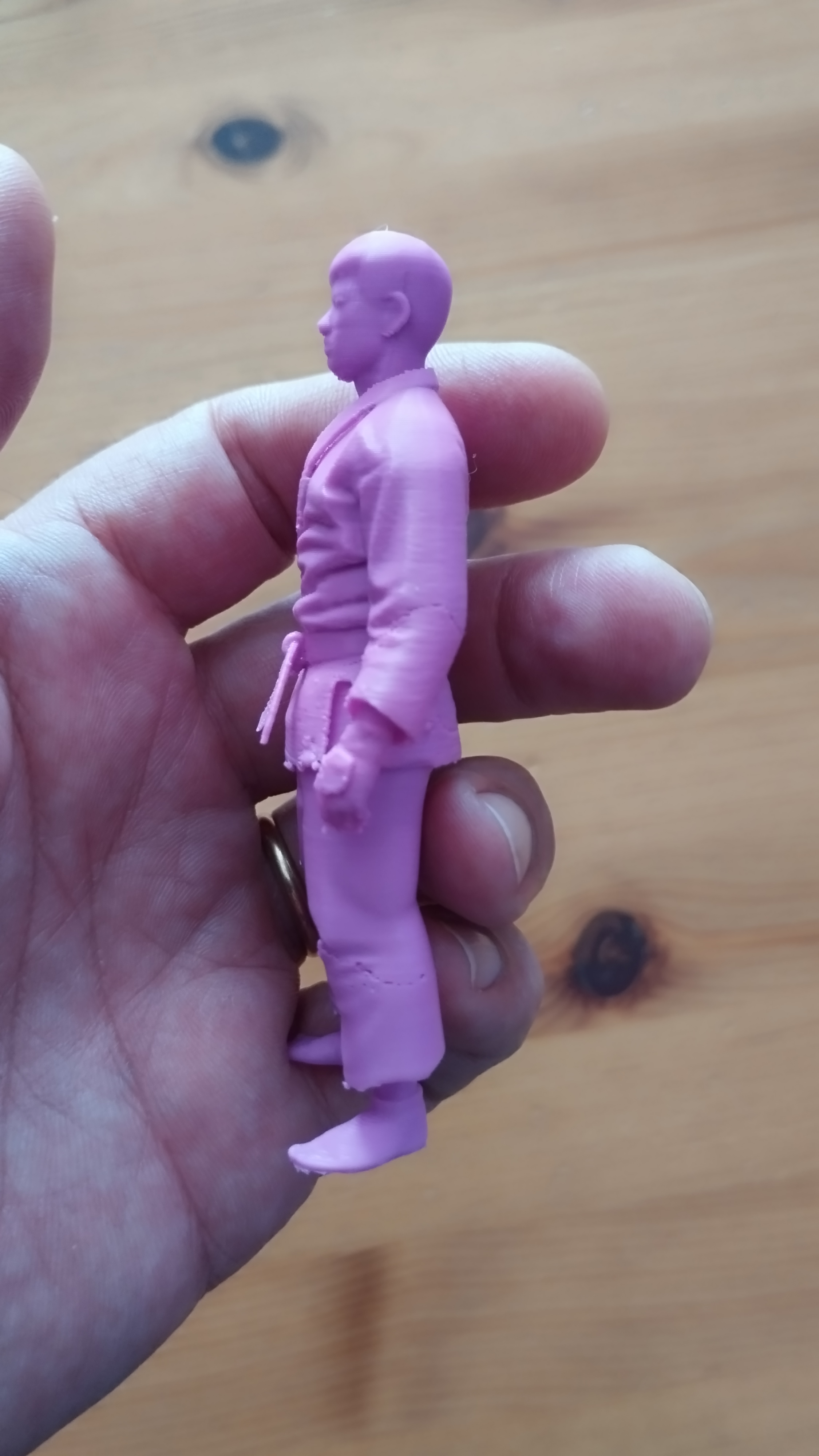 Judoka — miniatura 5
