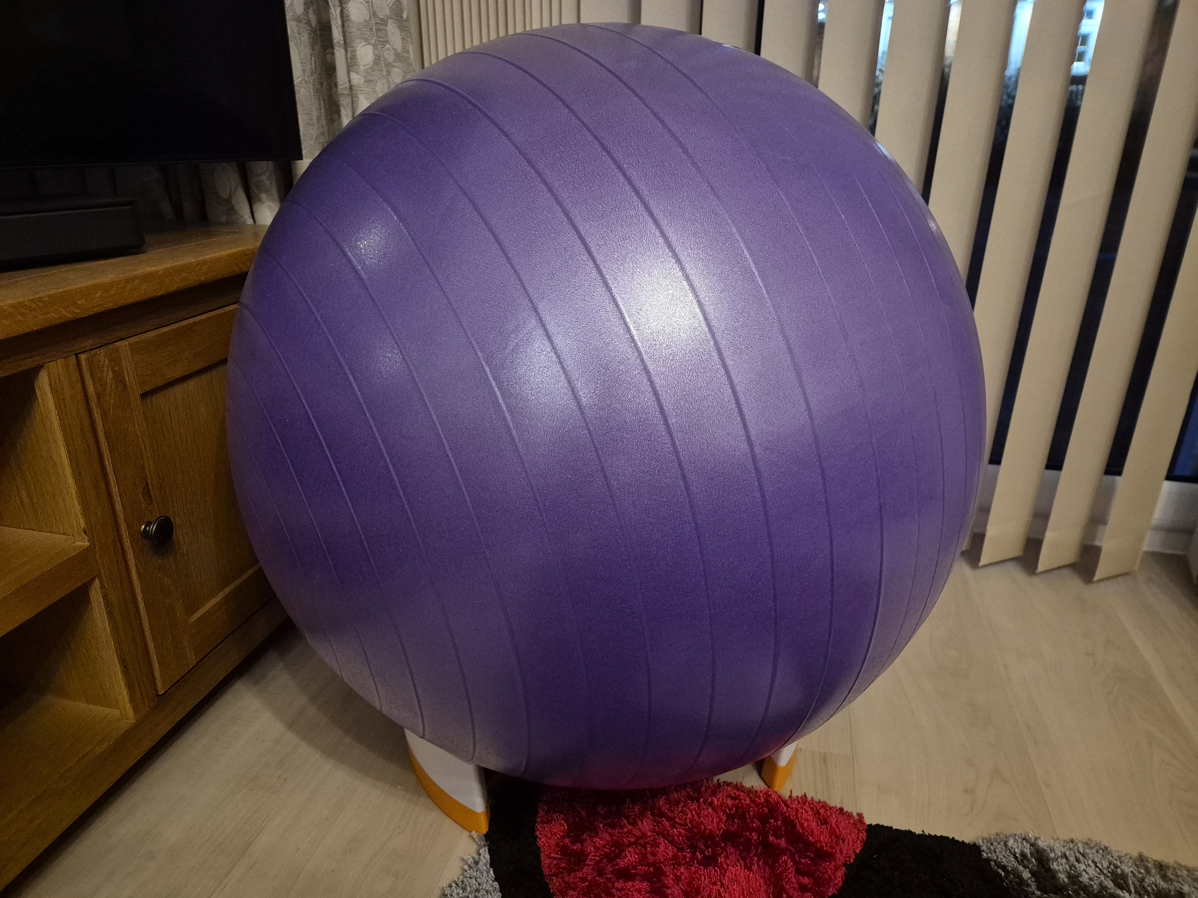Yoga Ball Stand - Single Print Bed / 65cm Ball