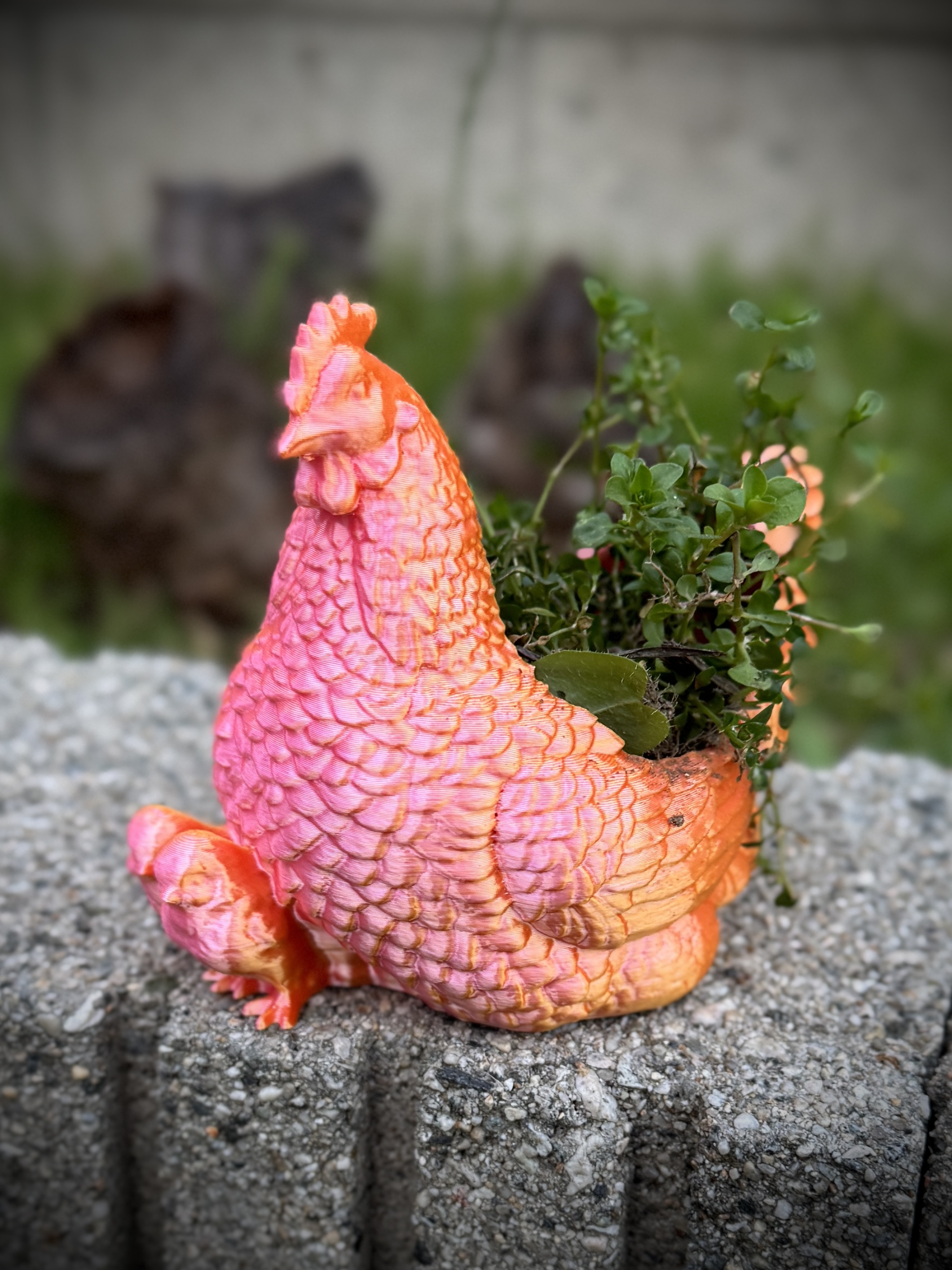 Hen and Chick Planter