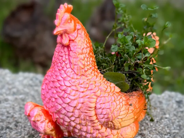Hen and Chick Planter