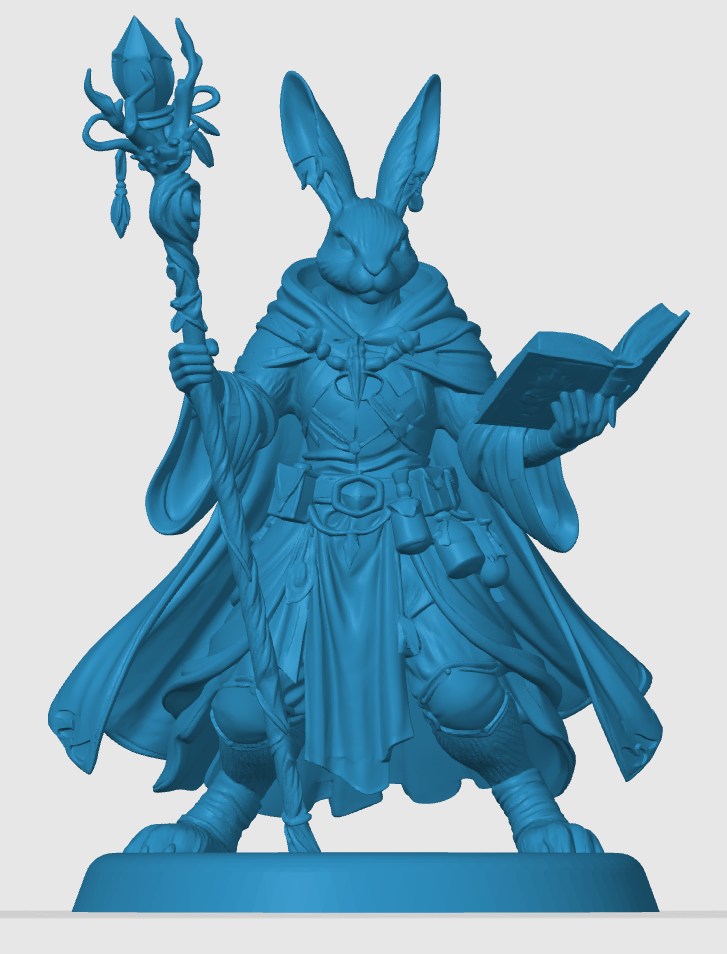 Harengon Wizard — thumbnail 5
