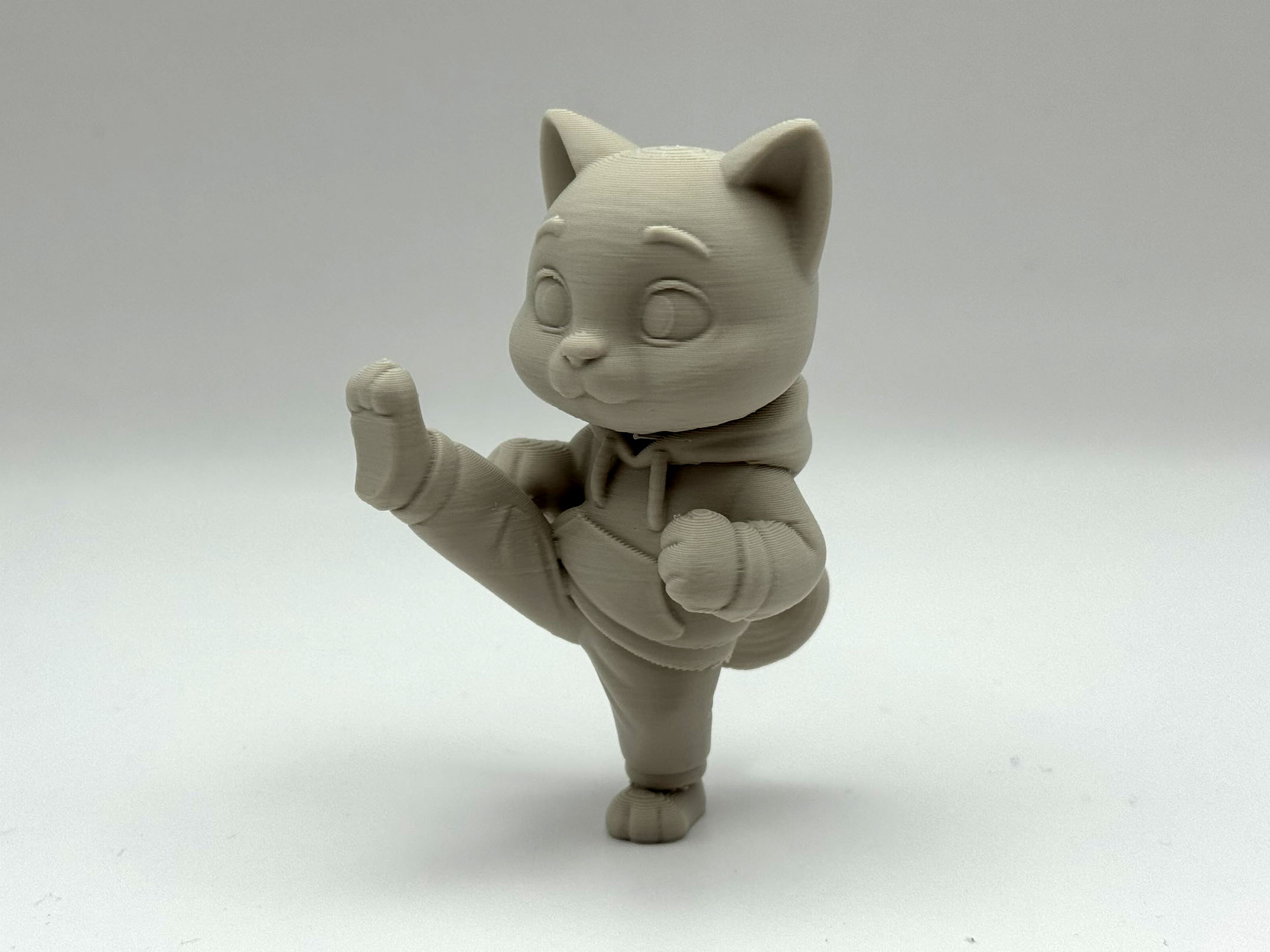 Karate Kitten