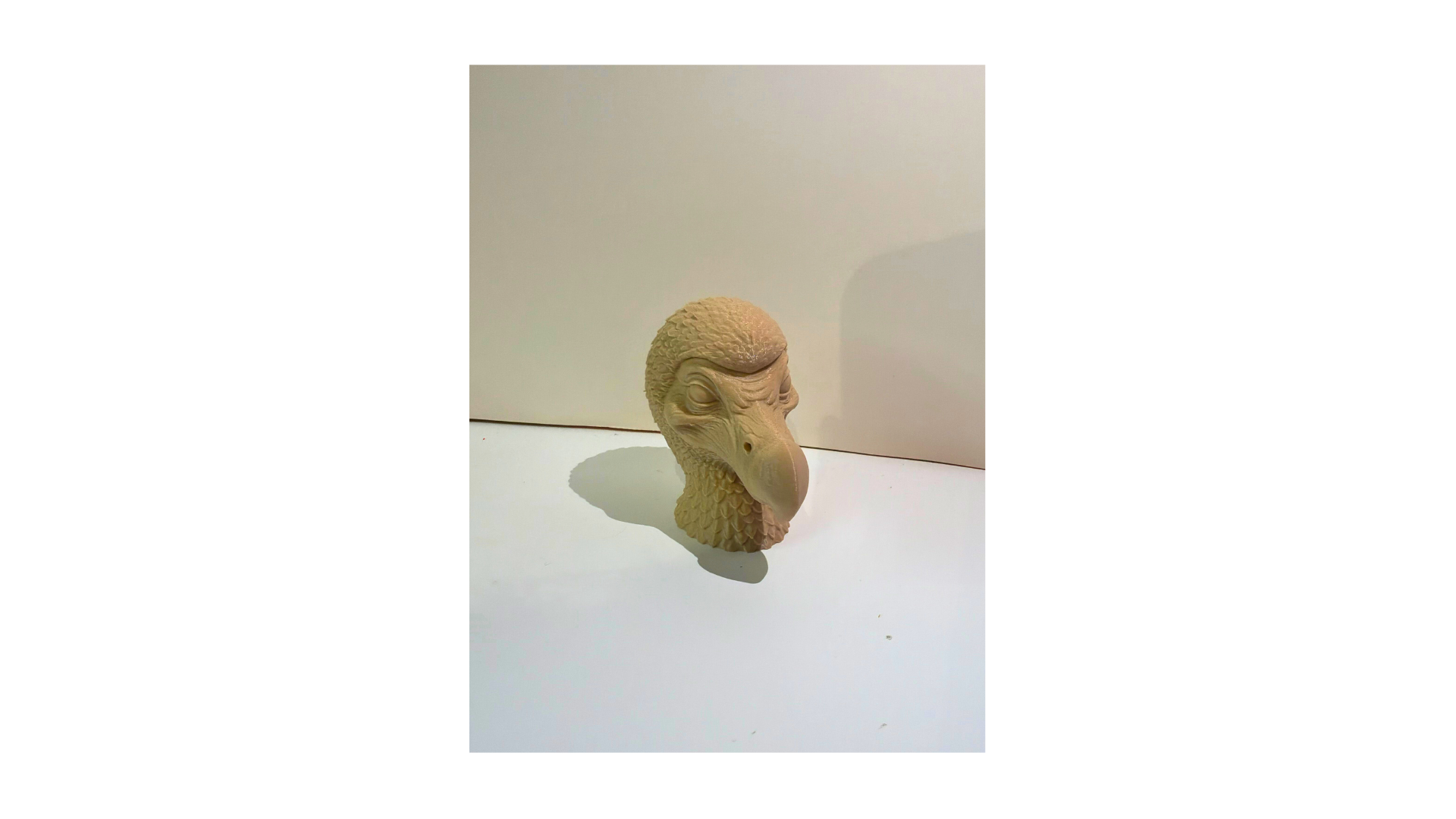 Miniatura 3 do modelo 3D Dodo