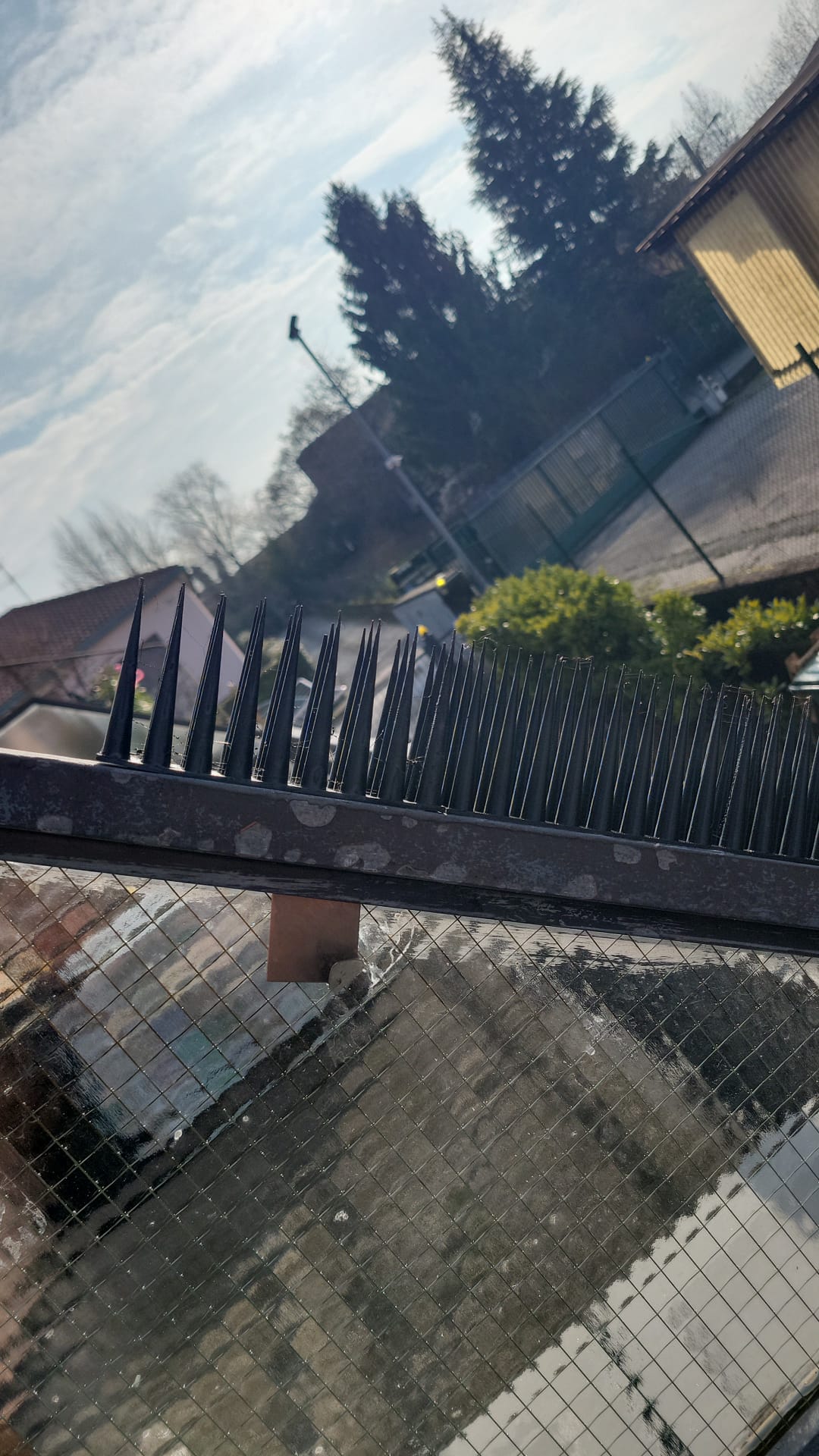 Long Anti-Pigeon/Cats Spikes