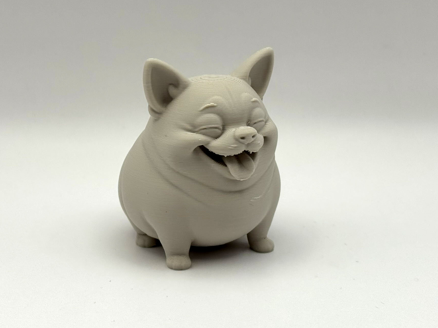 Chonk Chihuahua