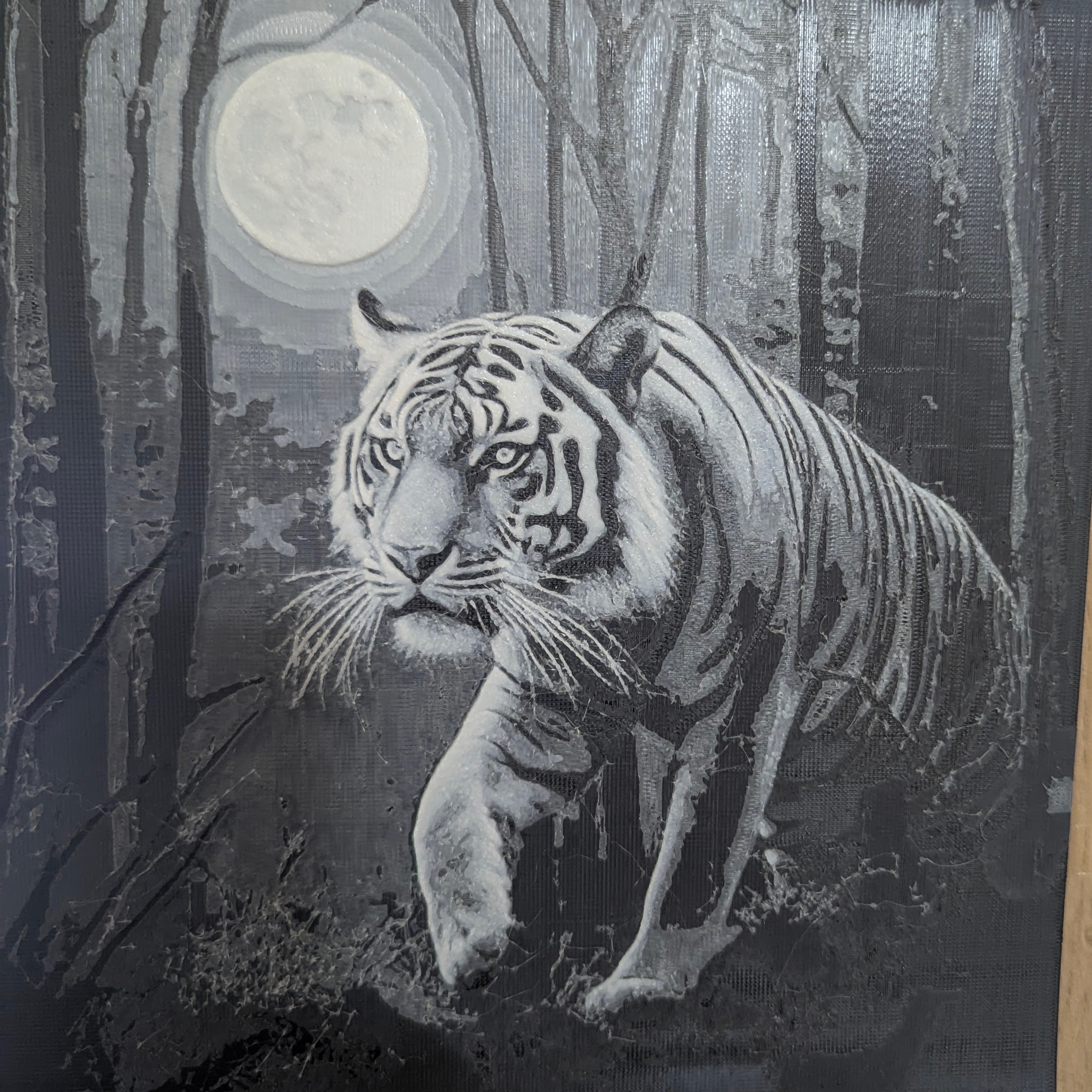 moon tiger