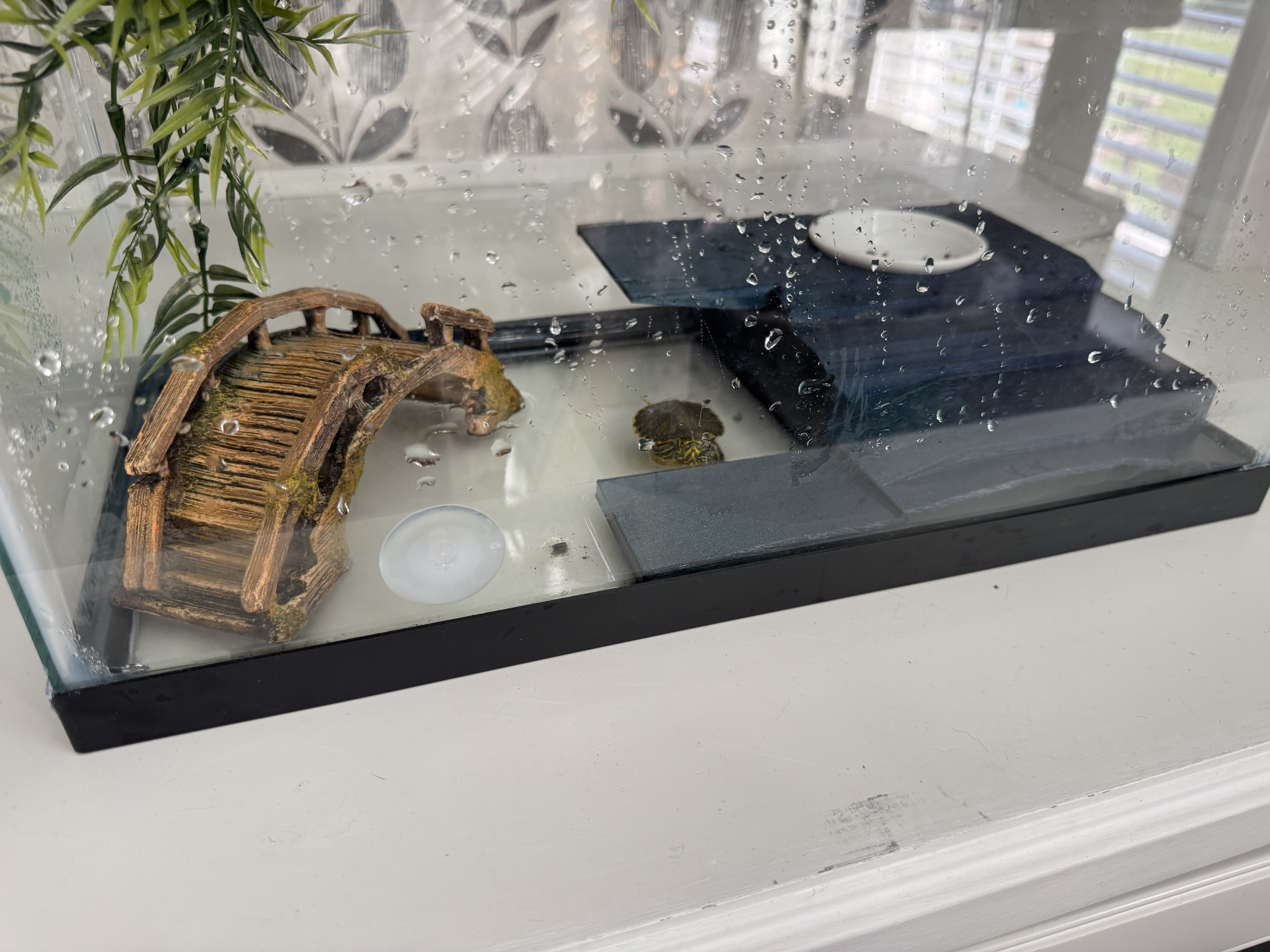 Donatello Baby Turtle Island for 5 Gallon Fish tanks