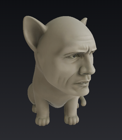 The Rock- Dwayne the cat