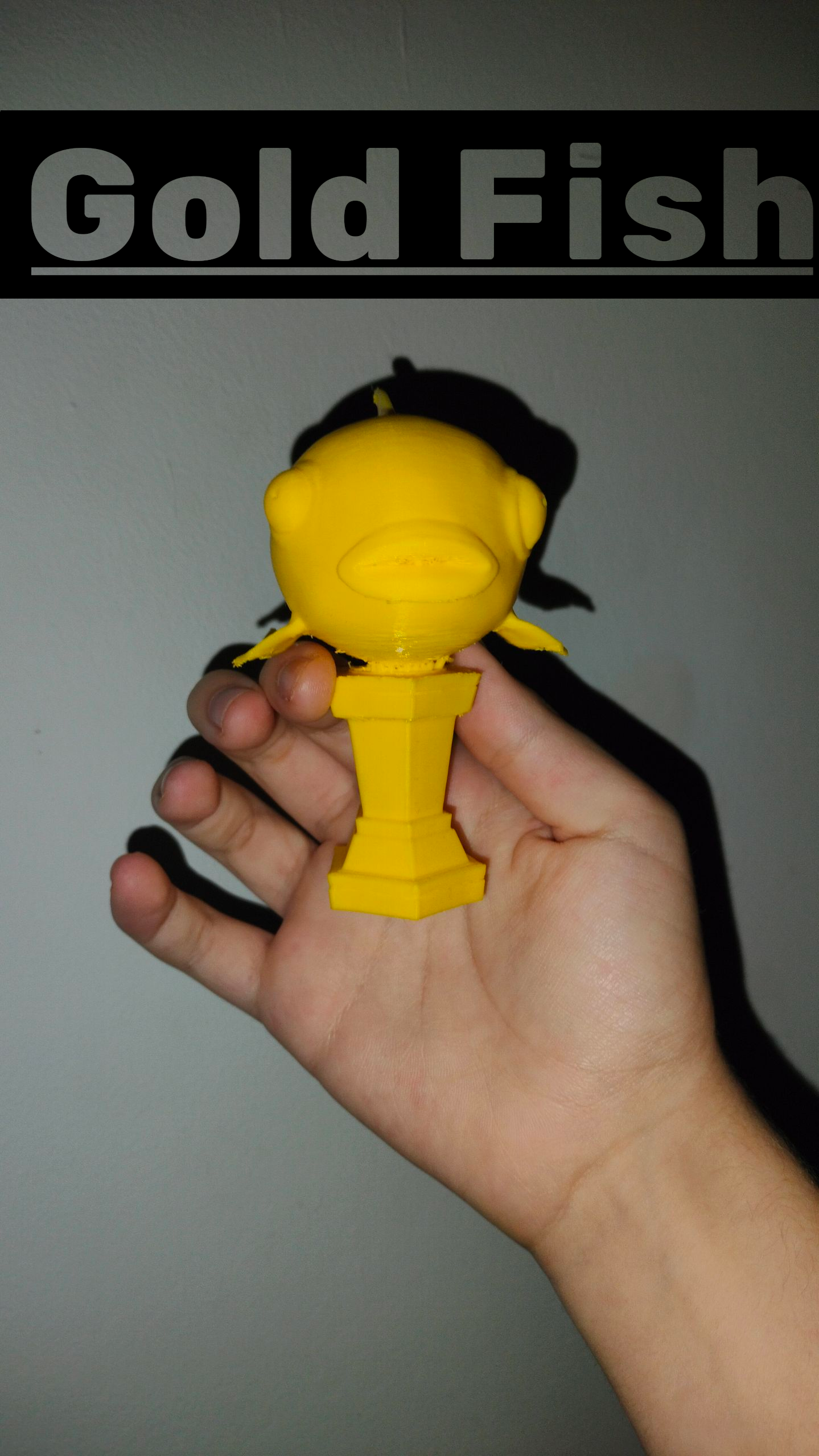 golden fish trophy Fn