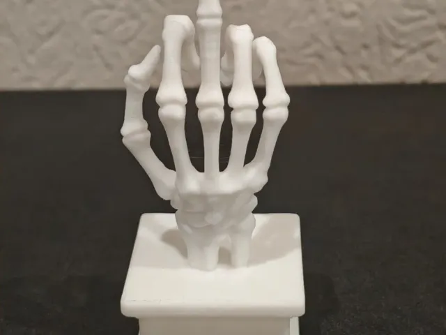 Middlefinger Skeleton