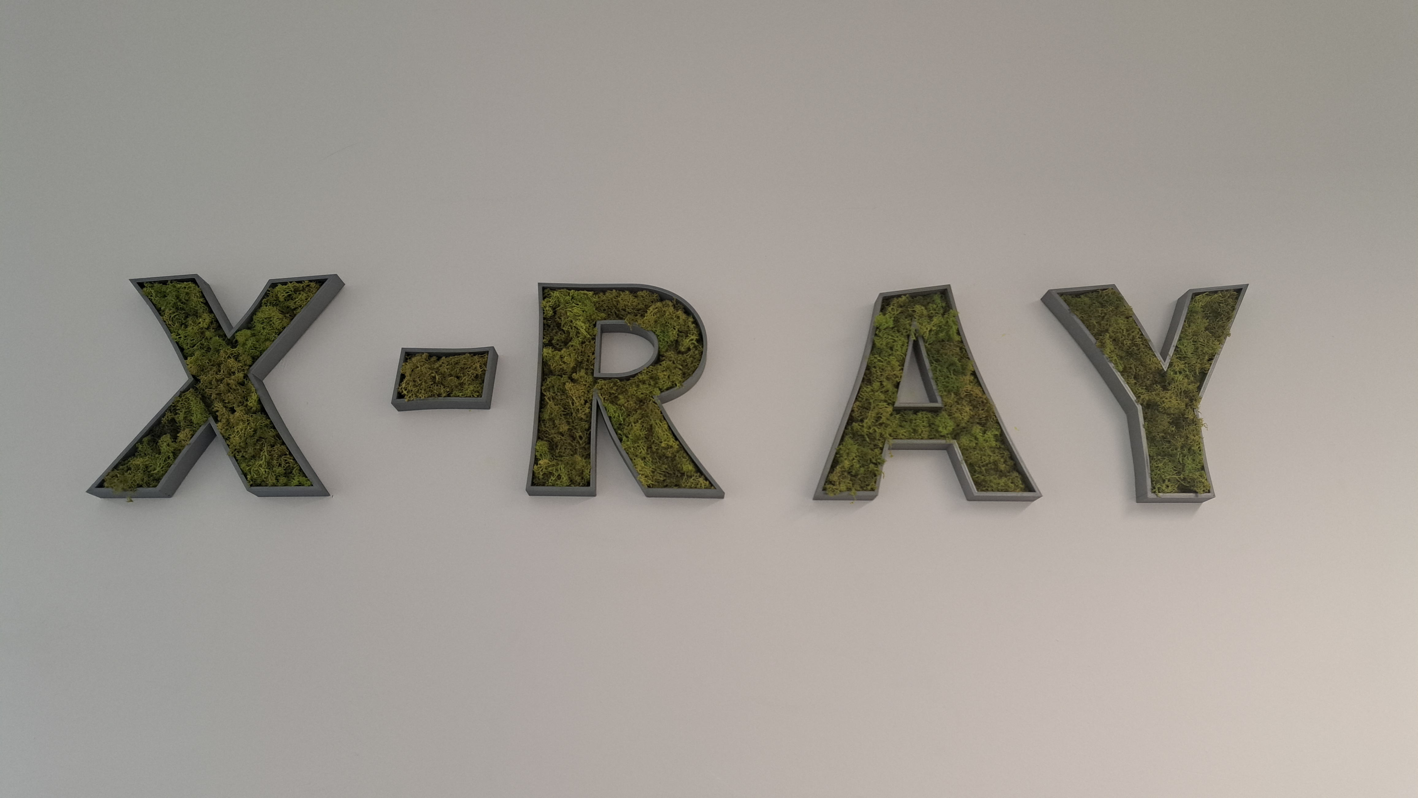 X-RAY lettering 3D-letters with moss