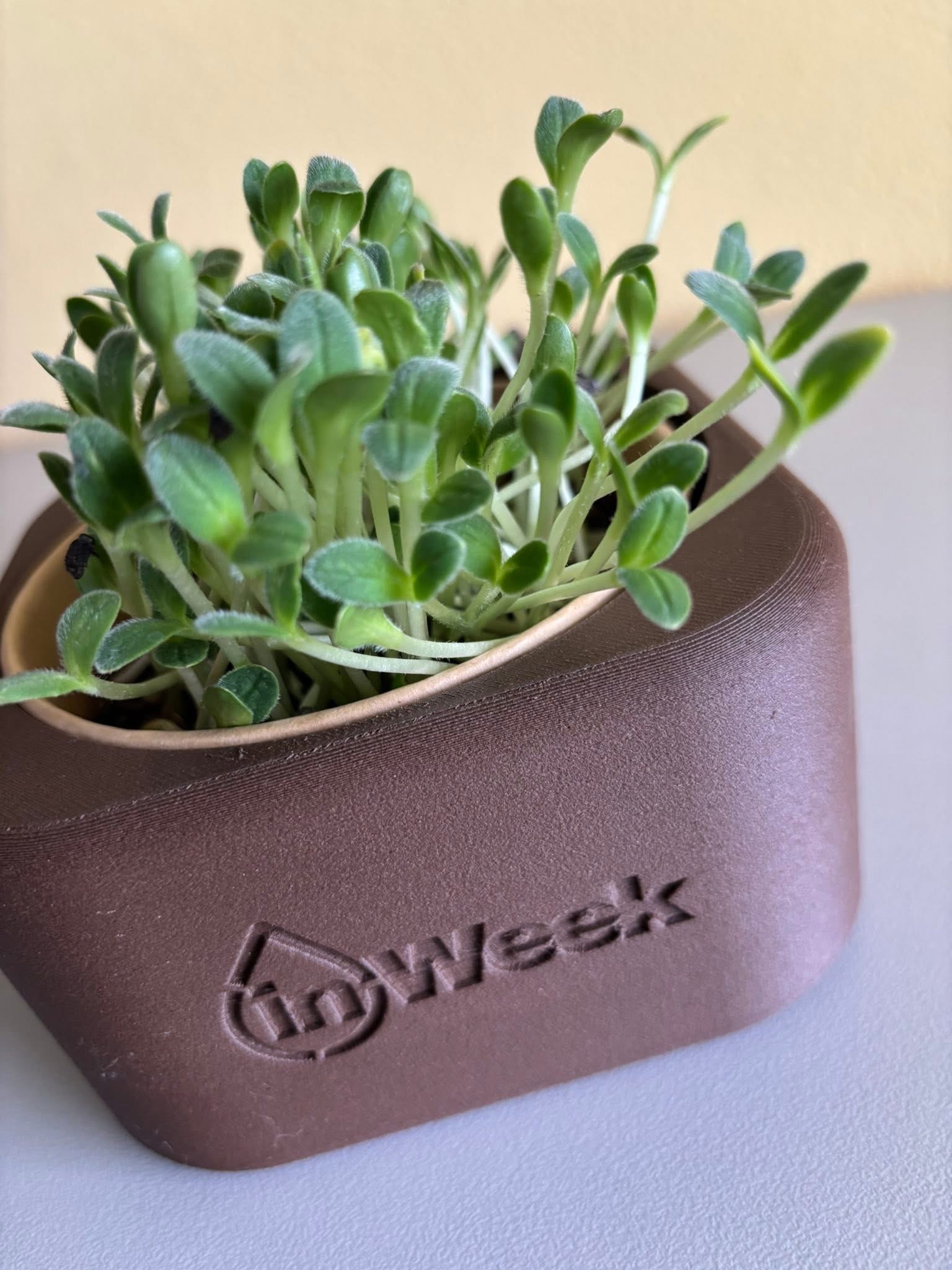 inWeek tray for growing microgreens cube