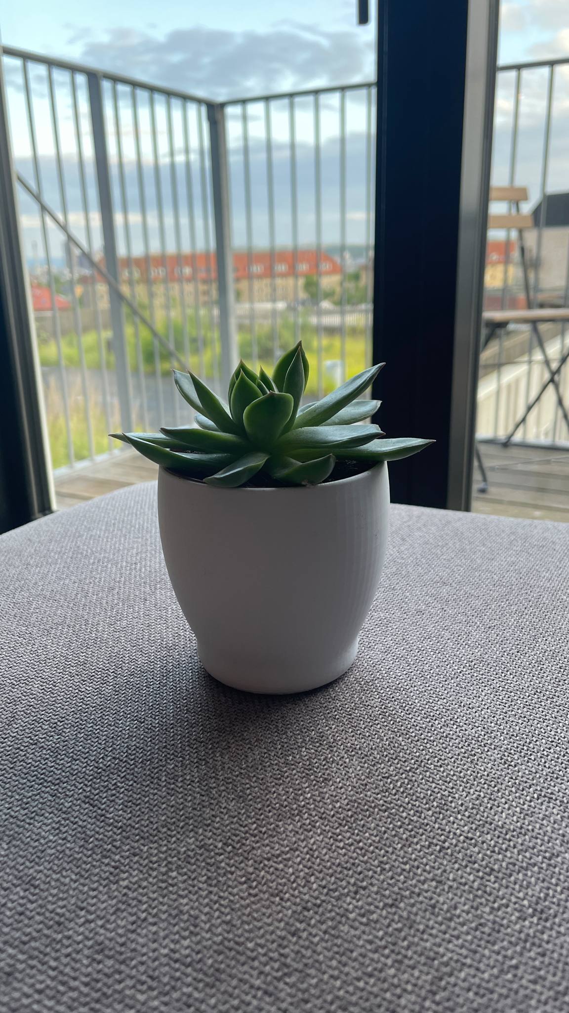 Compact pot for small plants
