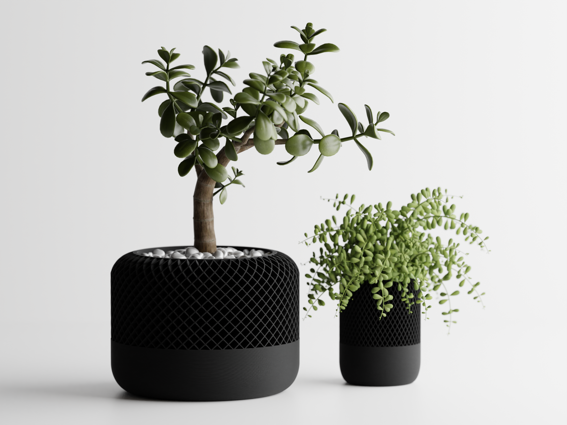 Modern Apple Homepod style Plant Pot
