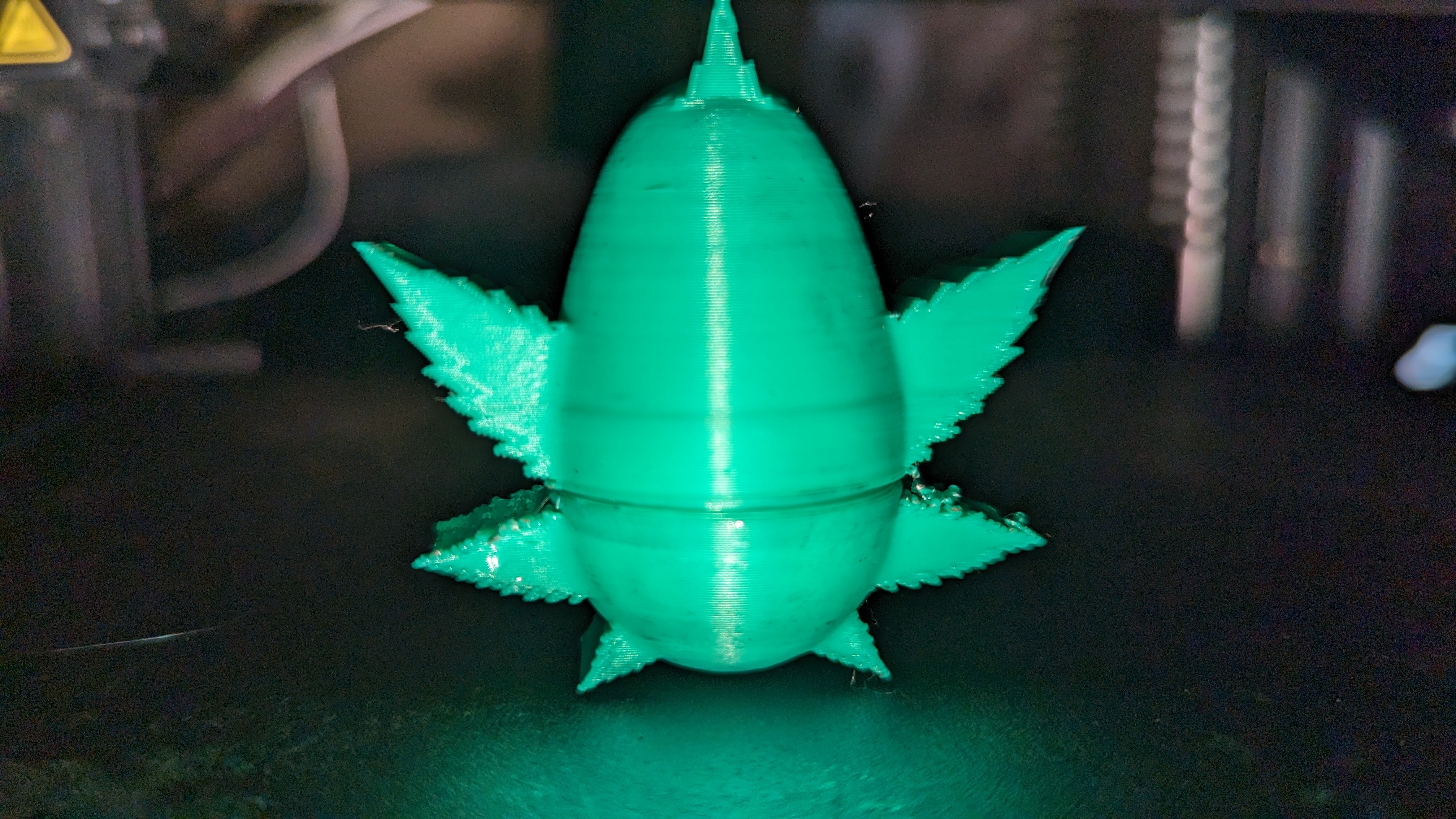 420 Egg Container