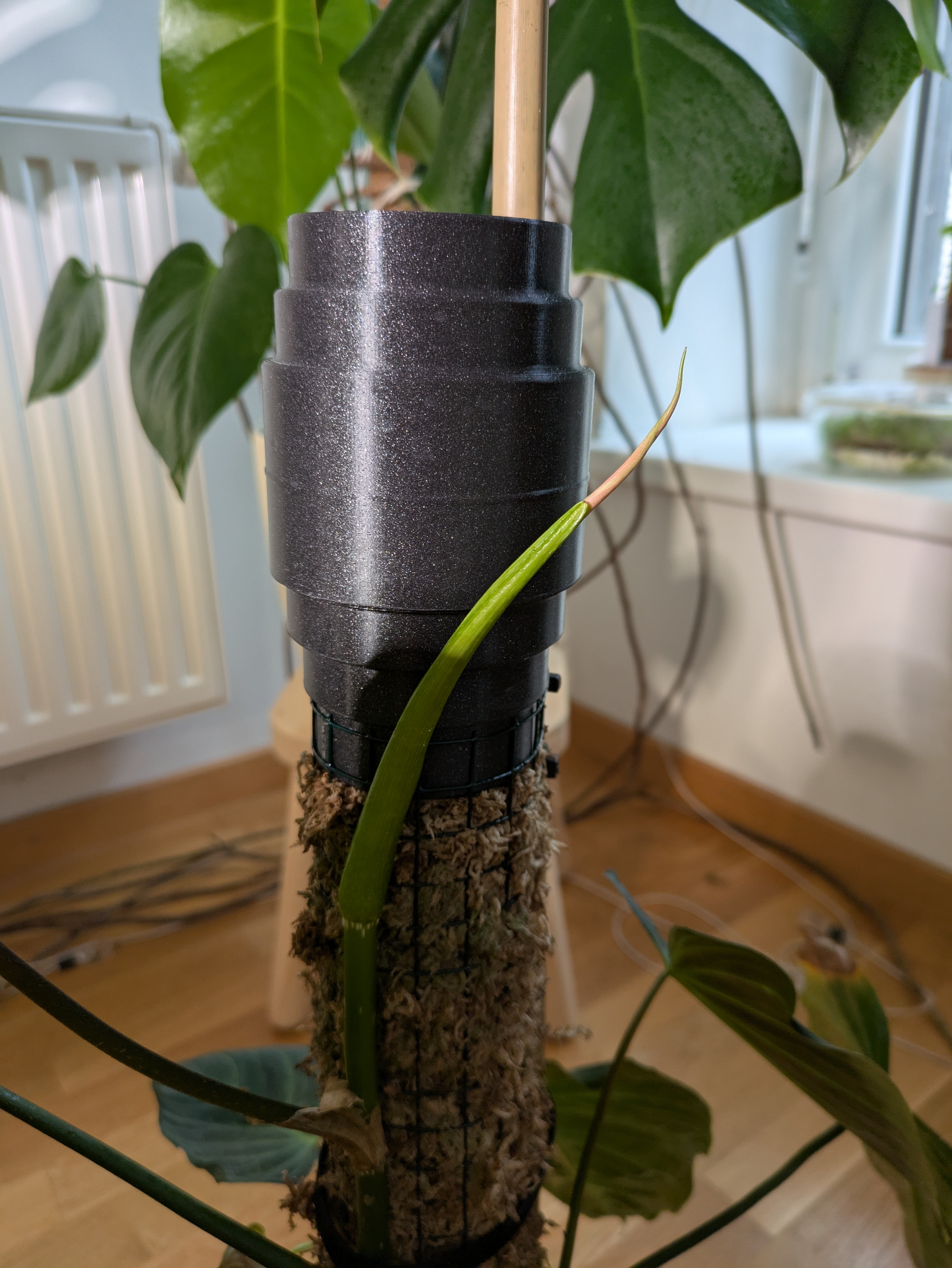 Moss Pole Dripper