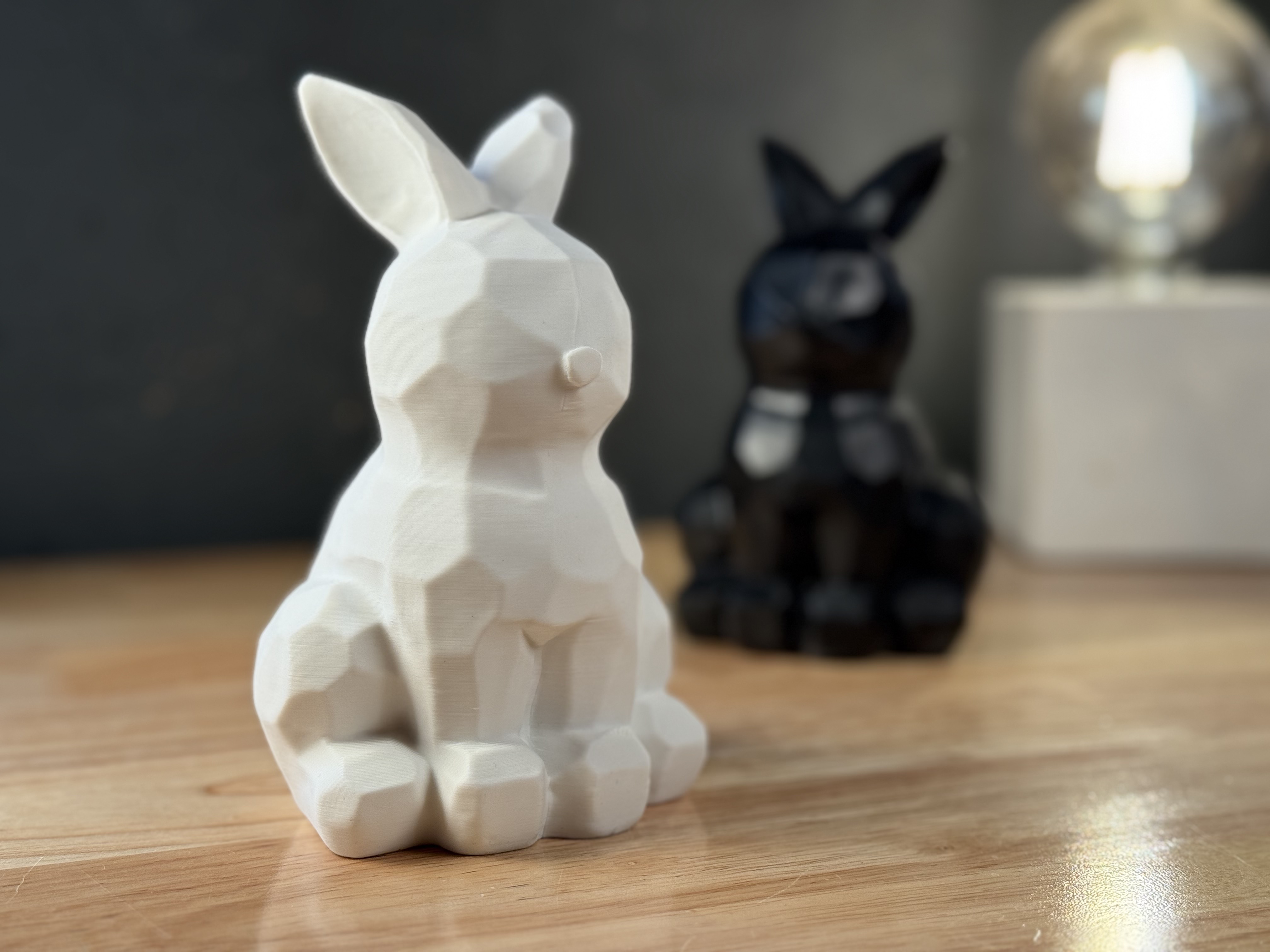 Poly Hase /  Poly Bunny