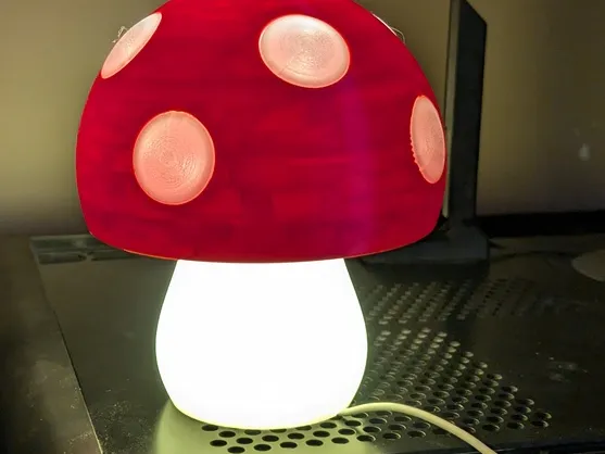 LED Holder/Bottom Plug adapter for Wuguigui mushroom lamp.