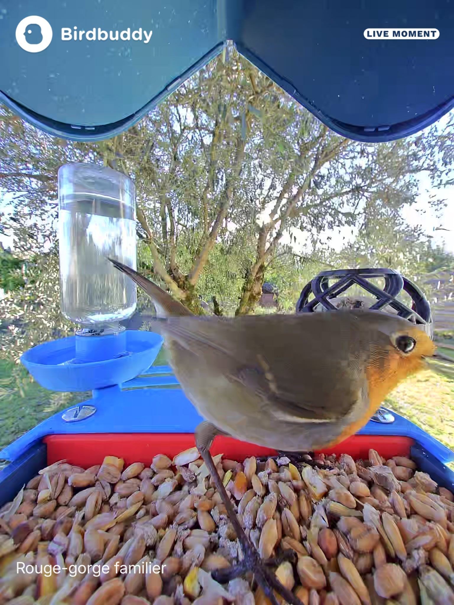 Bird Buddy Perch Extension — miniatura 4