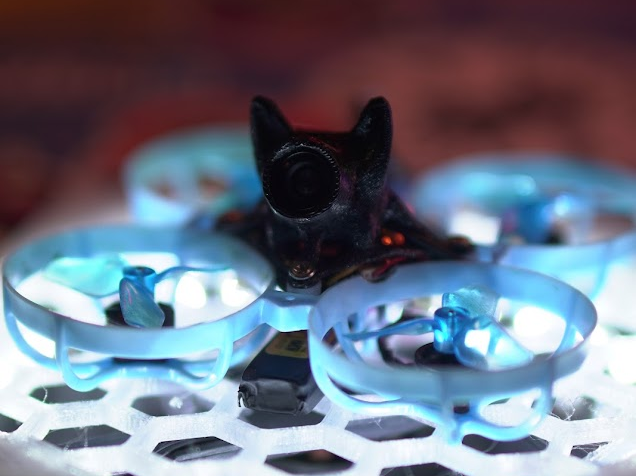 Tiny Whoop Doggo camera canopy with ears