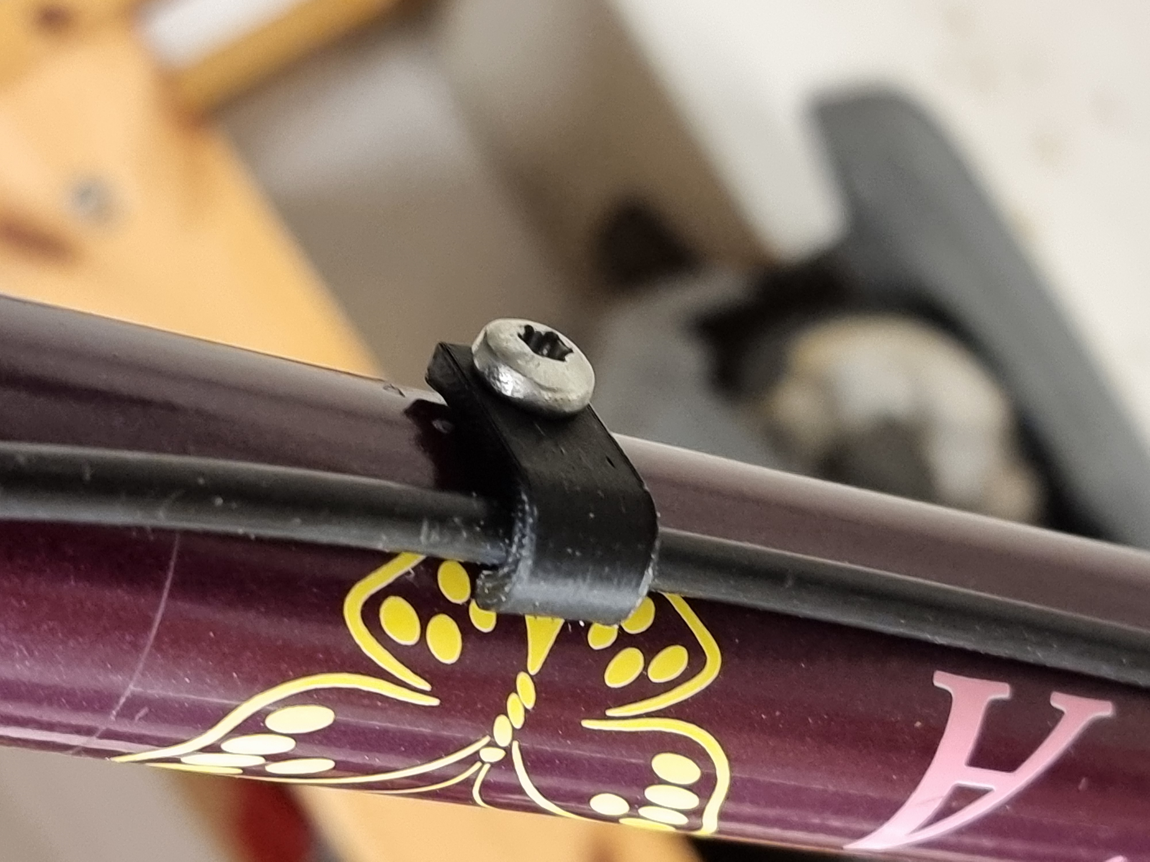 DBS bike wire clip