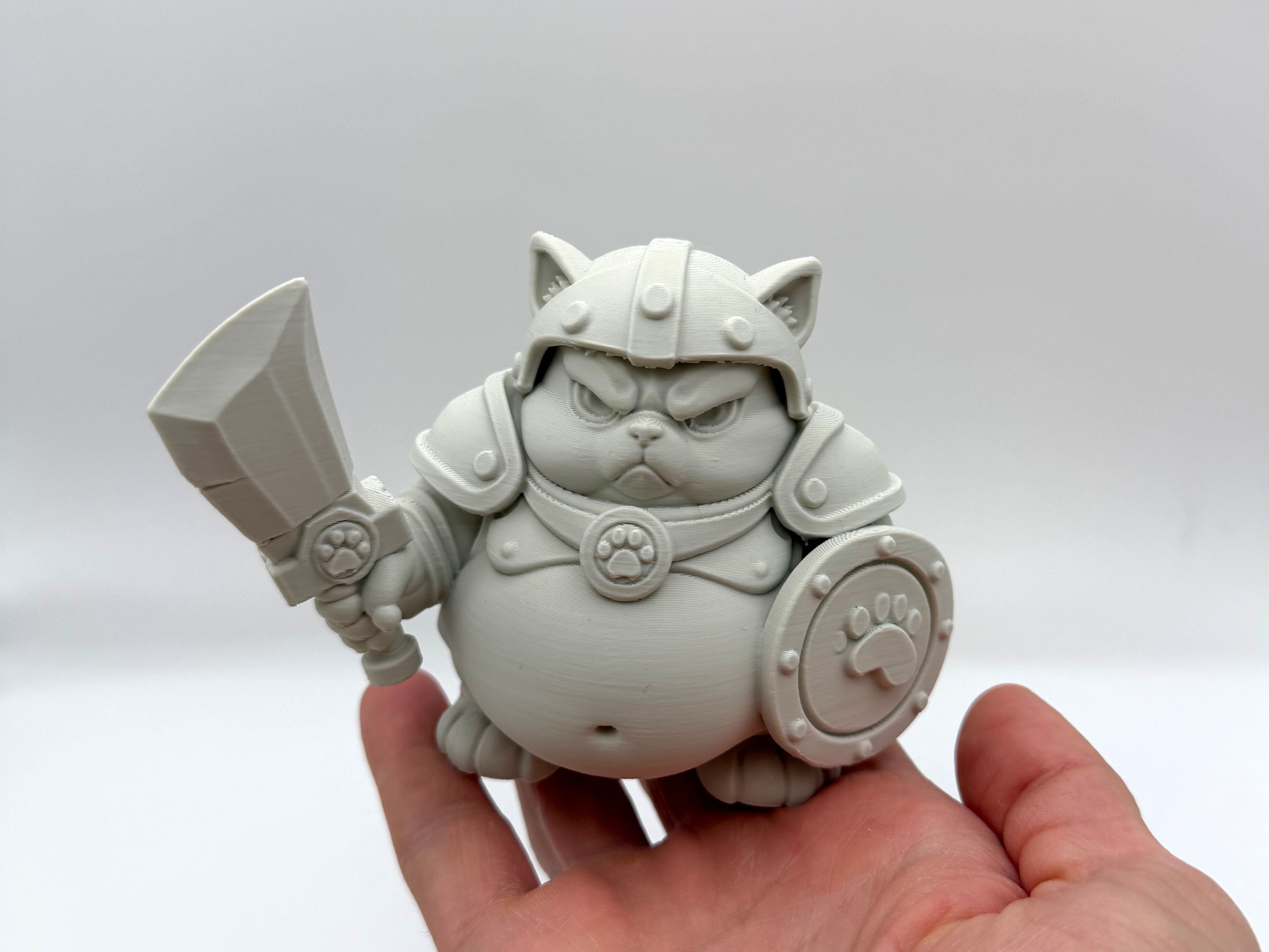Chonky Warrior Kitten