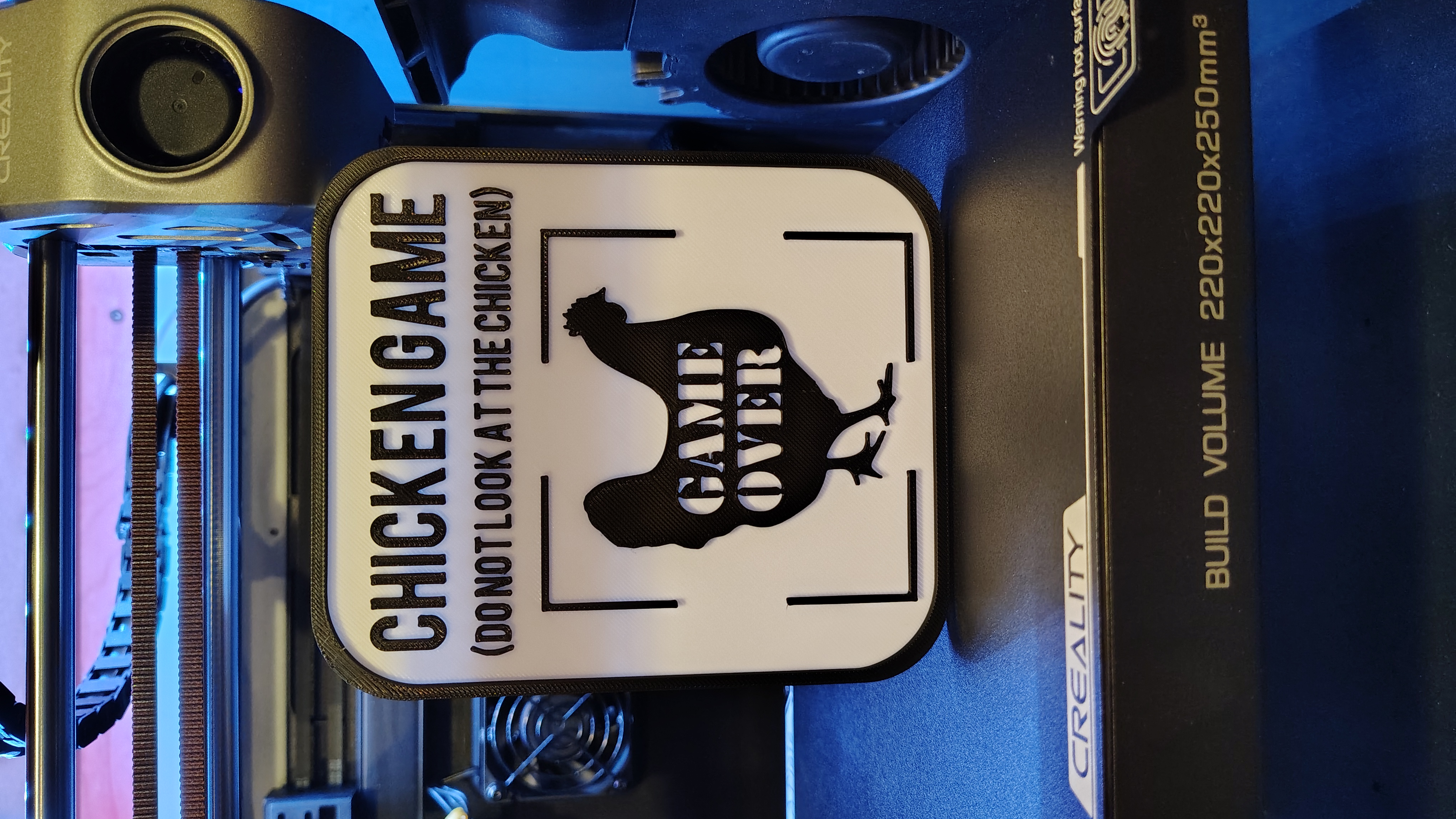 Funny chicken meme sign (no CFS or AMS)