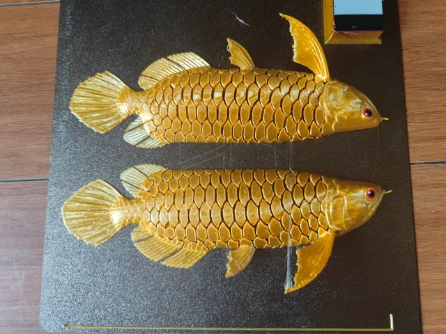 Arowana