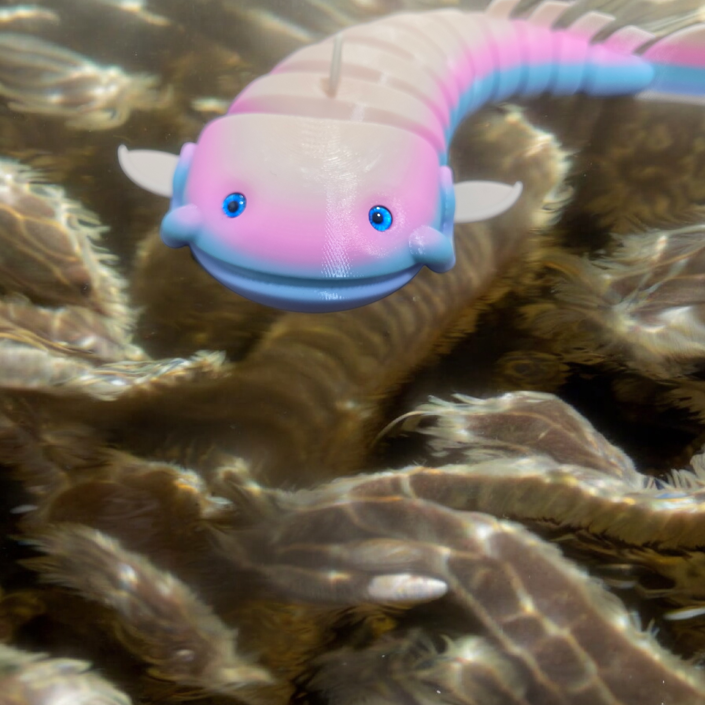 Articulated Catfish - 6mm + 8mm glass eye compatible