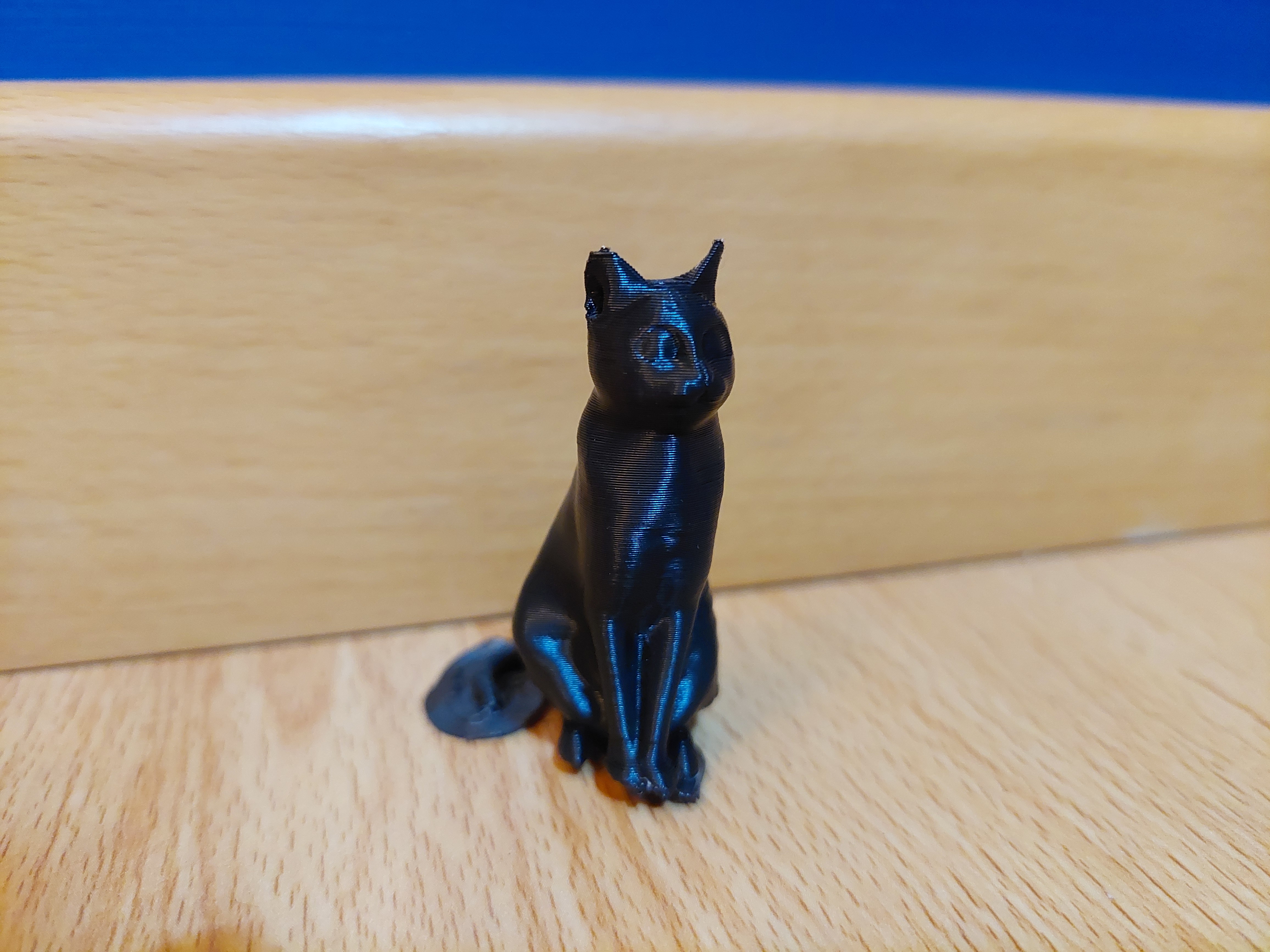 Miniatura 3 do modelo 3D My cat sitting