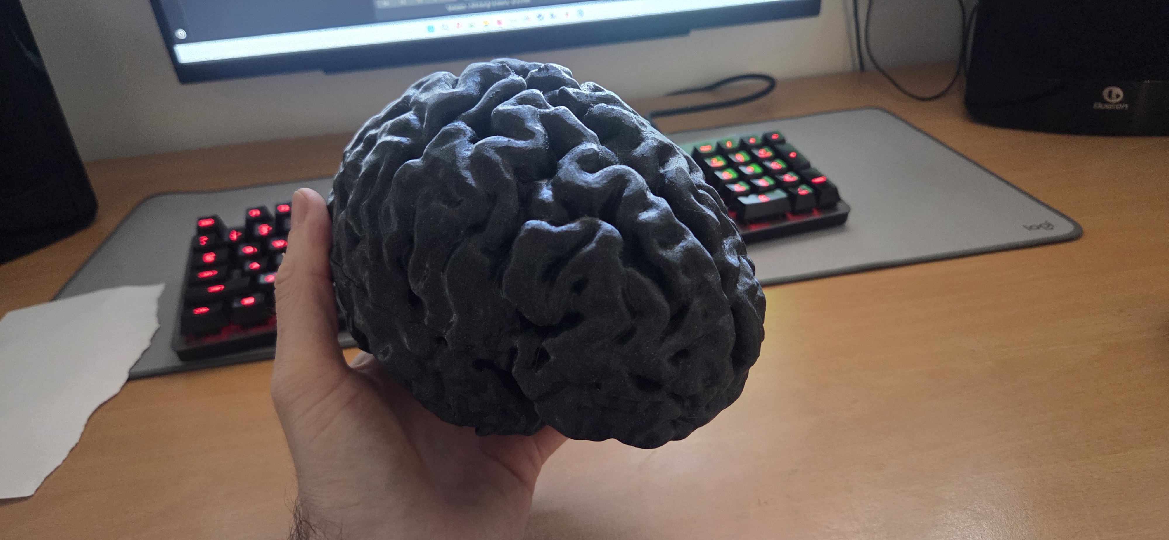 Brain