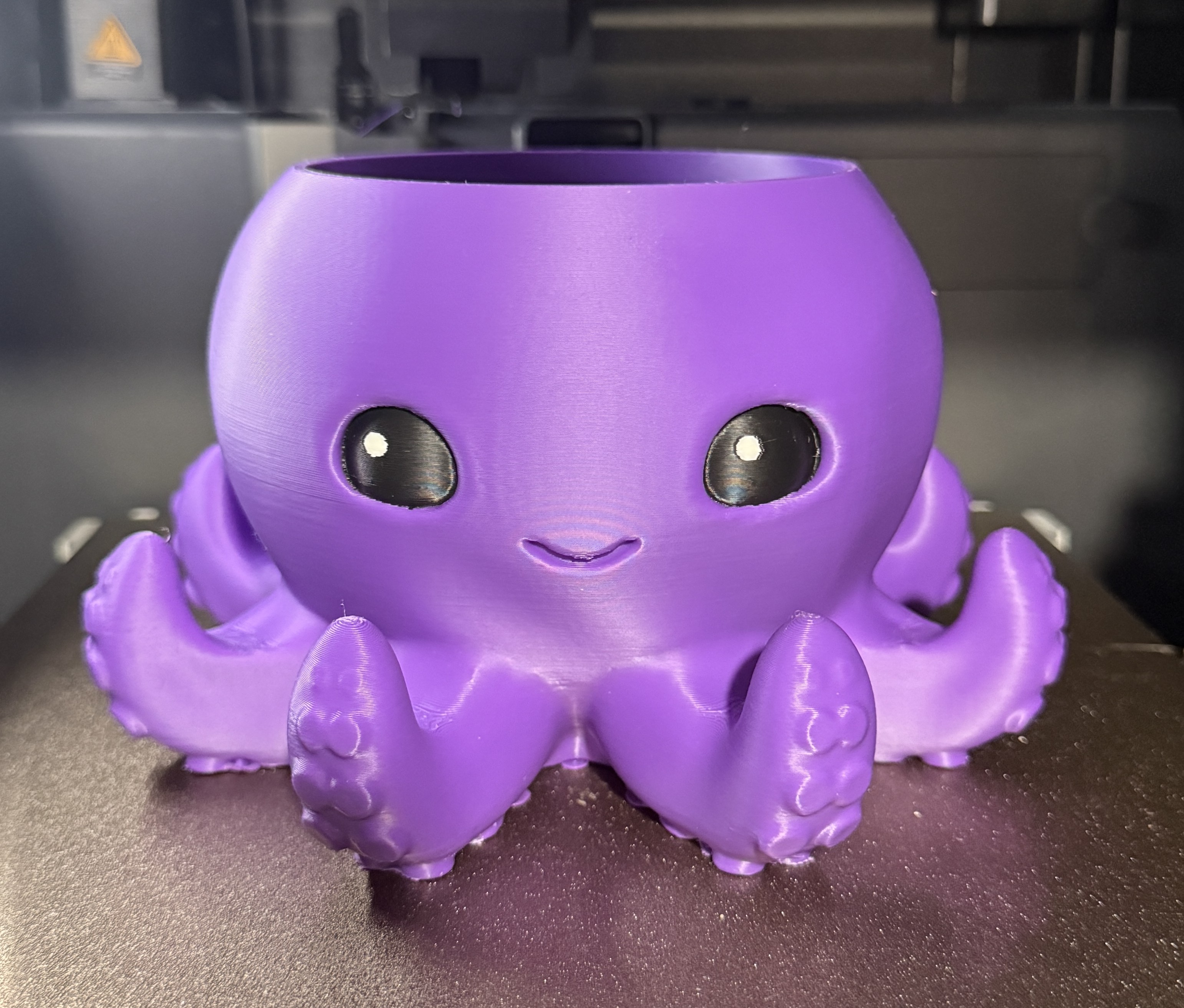 Cute Octopus Planter w/drain