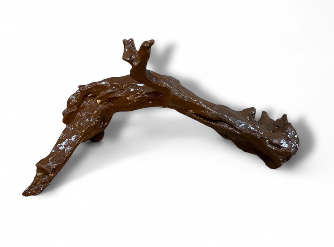 Driftwood for Reptile Terrarium