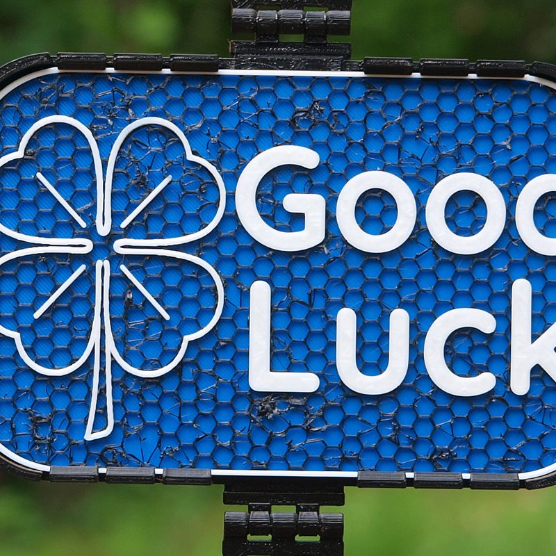 ♦︎ GOOD LUCK!! Good luck. Sticker with clover and horseshoe for social